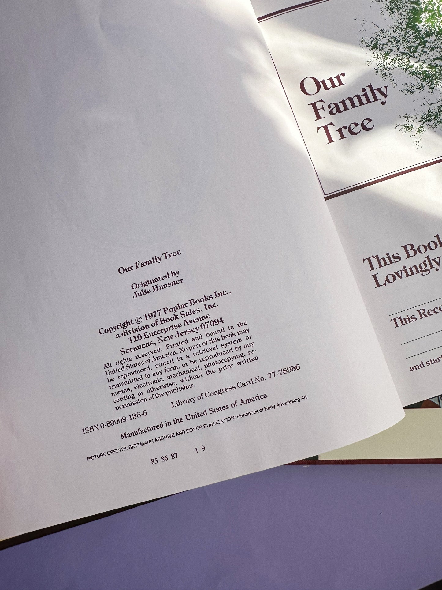 Vintage 1977 Hardcover Our Family Tree Book