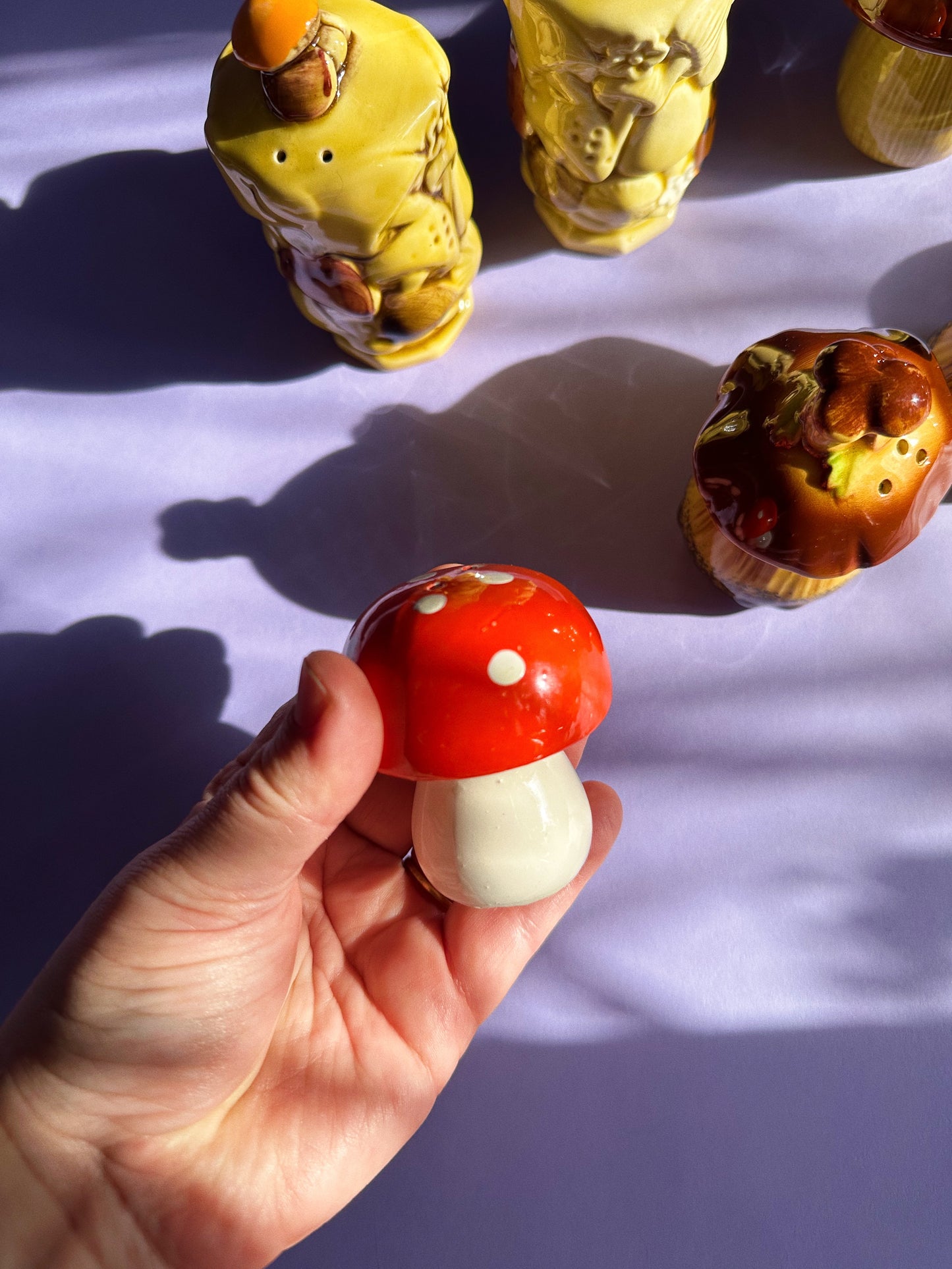 Vintage Mushroom Salt & Pepper Shakers