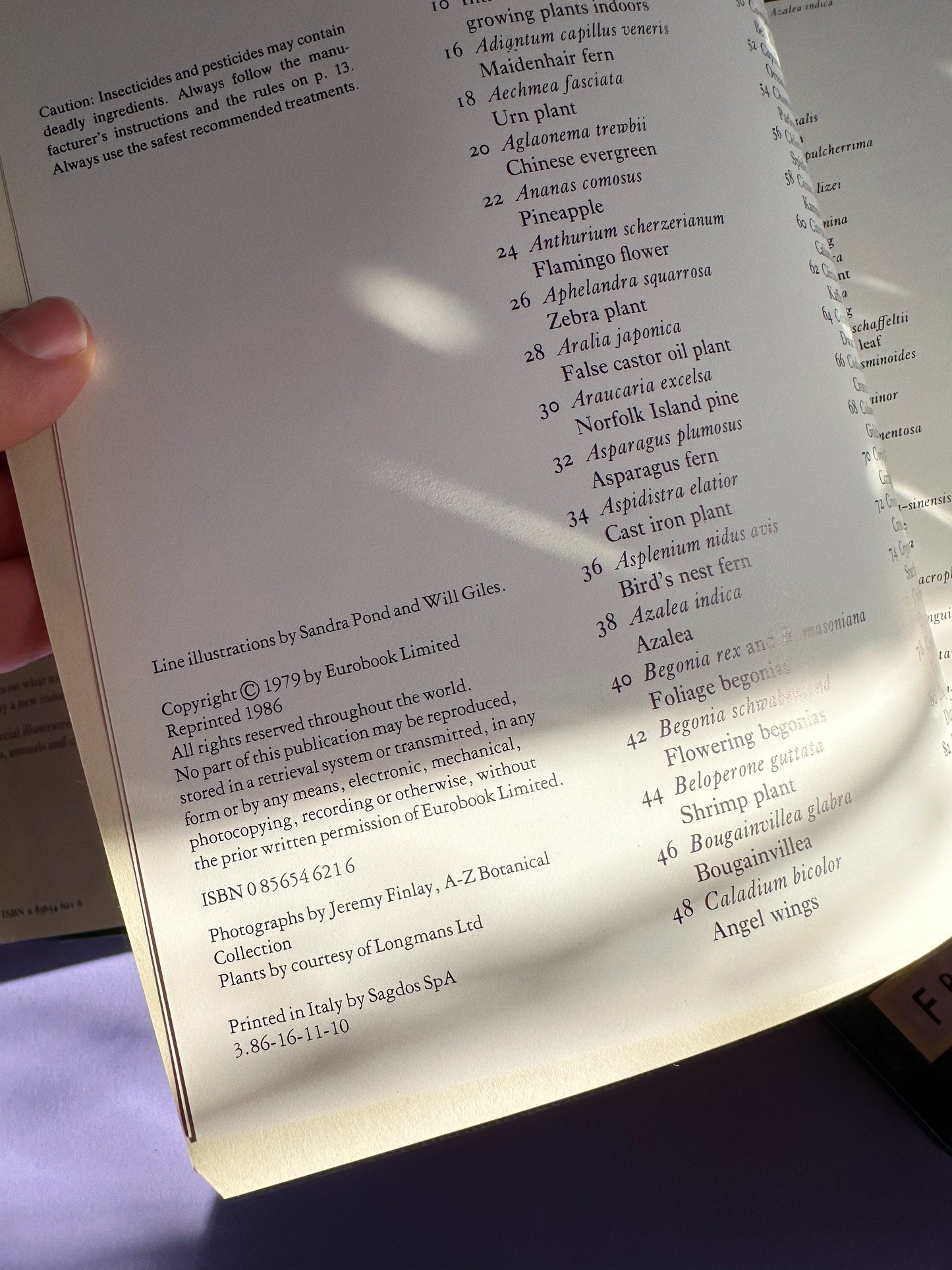 1986 The Care of House Plants Hardcover Book