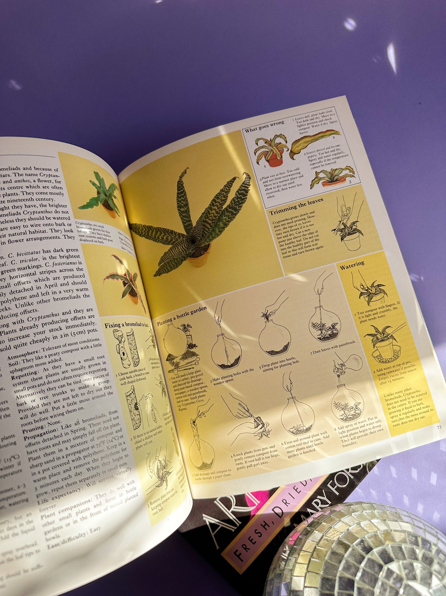 1986 The Care of House Plants Hardcover Book