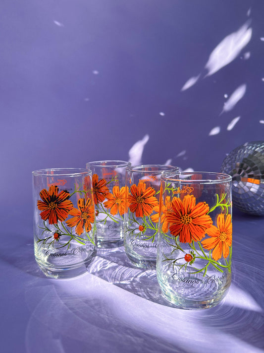 Vintage Floral Brockway Cosmos October Glass Tumblers
