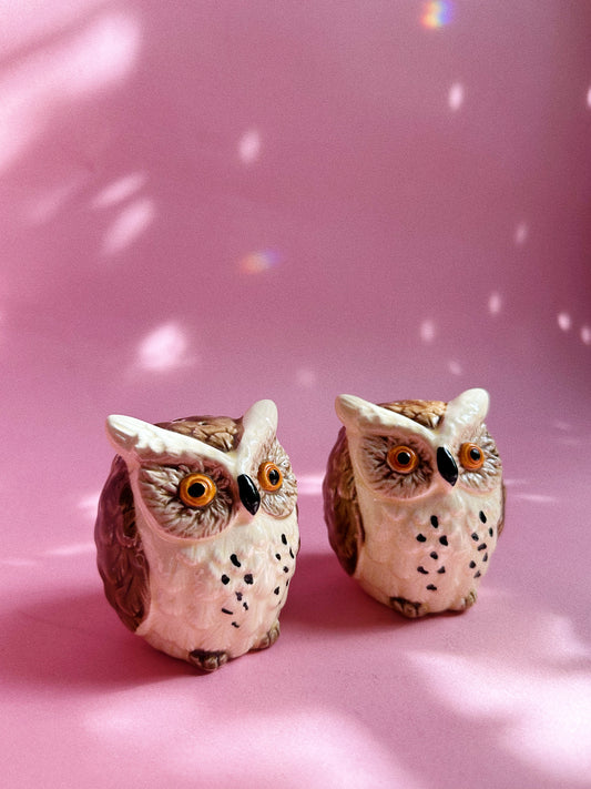 Vintage Ceramic Owl Salt & Pepper Shakers