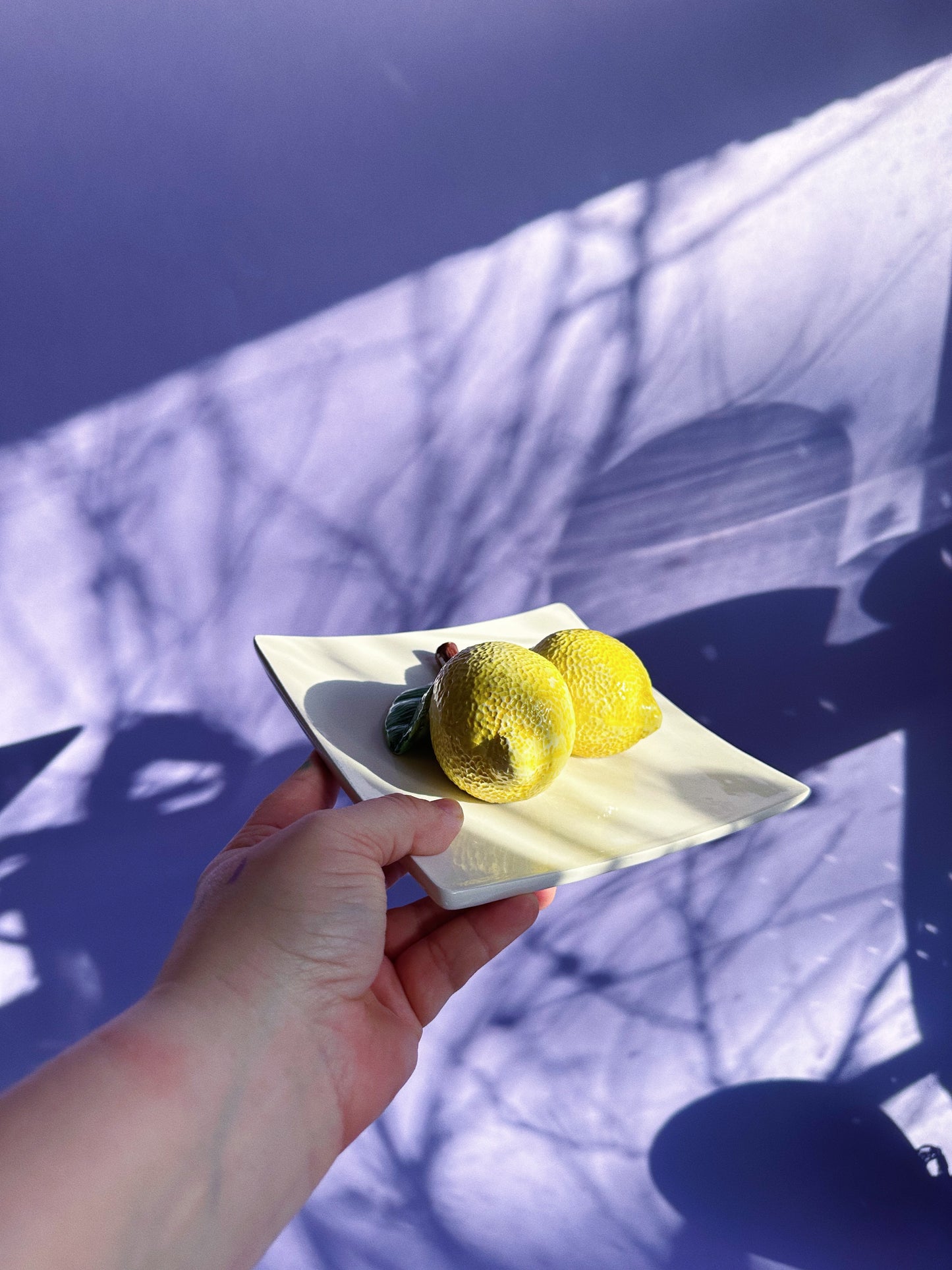 Vintage Italian Cherries & Lemons Porcelain Wall Hangings