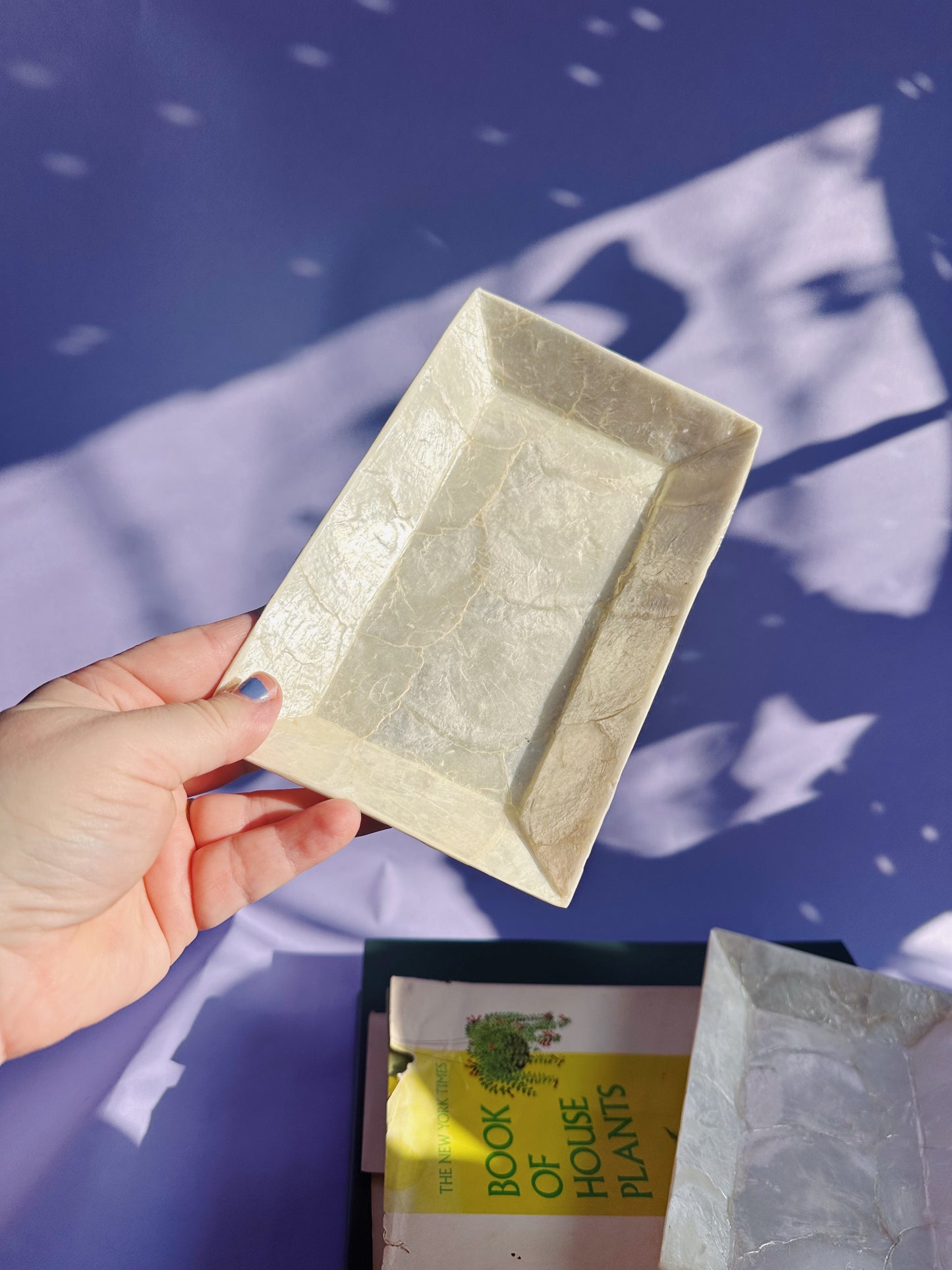 Vintage Pair of Capiz Shell Rectangle Throw Dishes