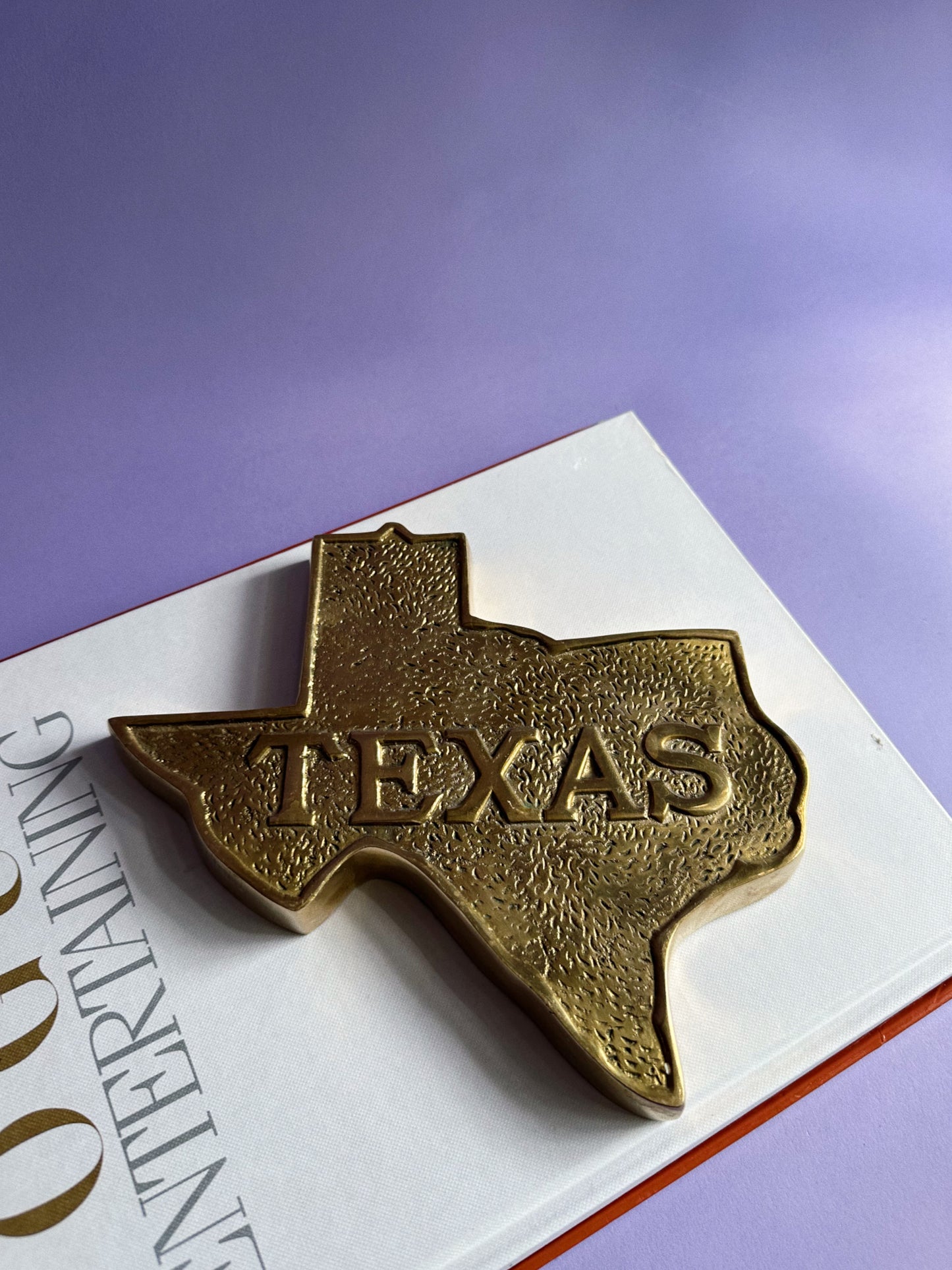 Vintage Solid Brass Texas Sculpture / Wall Hanging