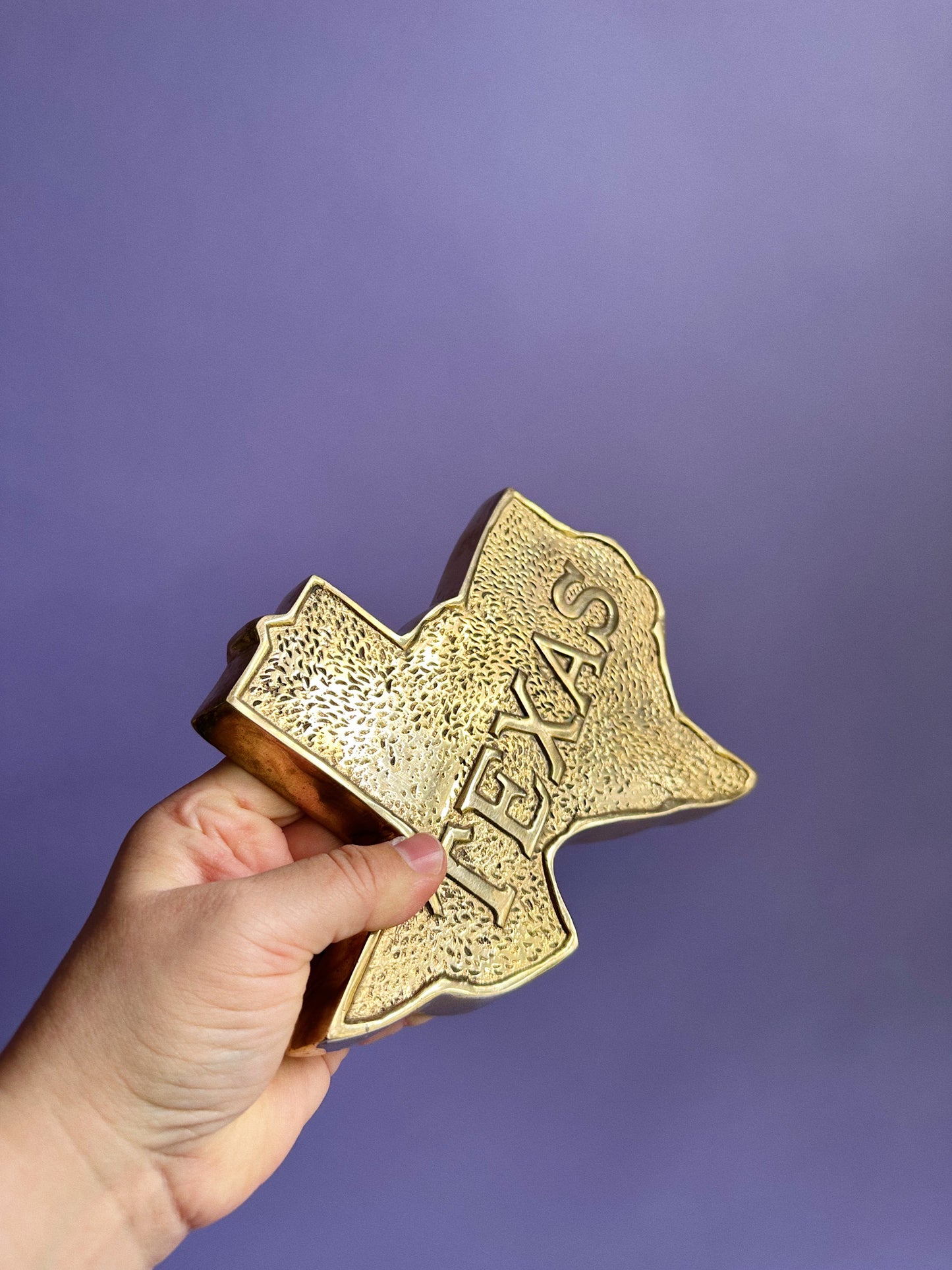 Vintage Solid Brass Texas Sculpture / Wall Hanging