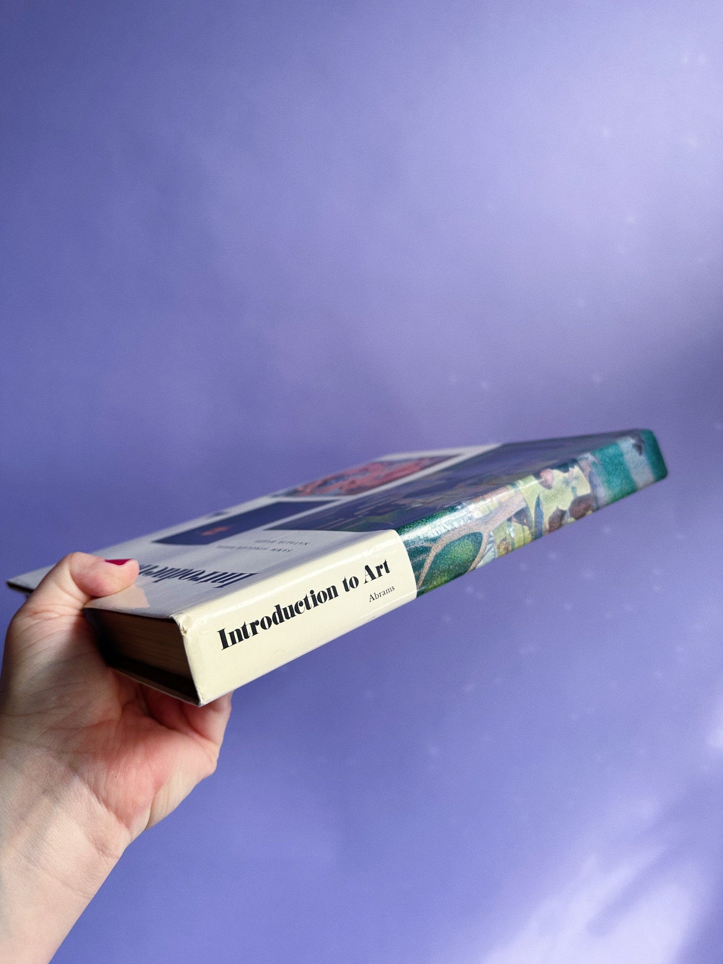 Vintage Introduction to Art Hardcover Coffee Table Book