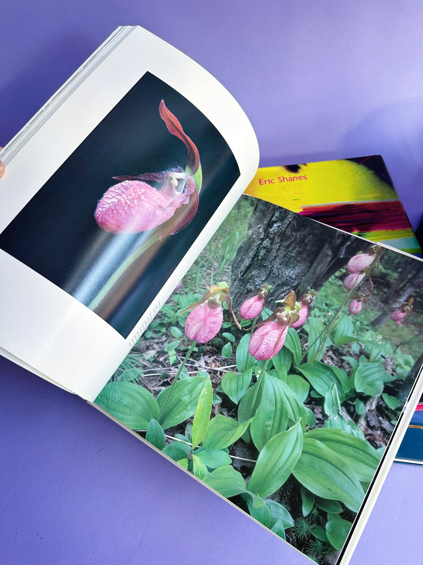 Vintage Wildflowers of Canada Hardcover Coffee Table Book