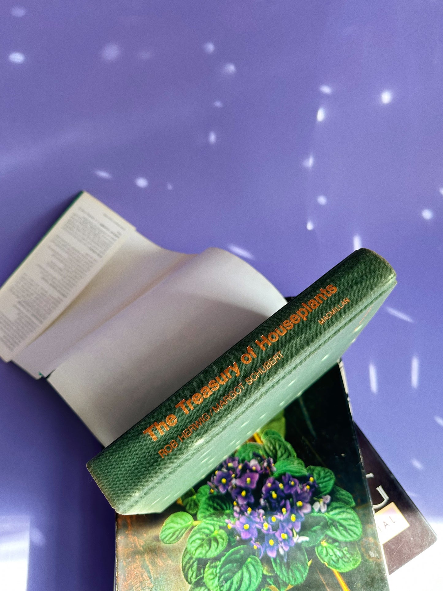 Vintage 1970s Treasury of Houseplants Hardcover Book