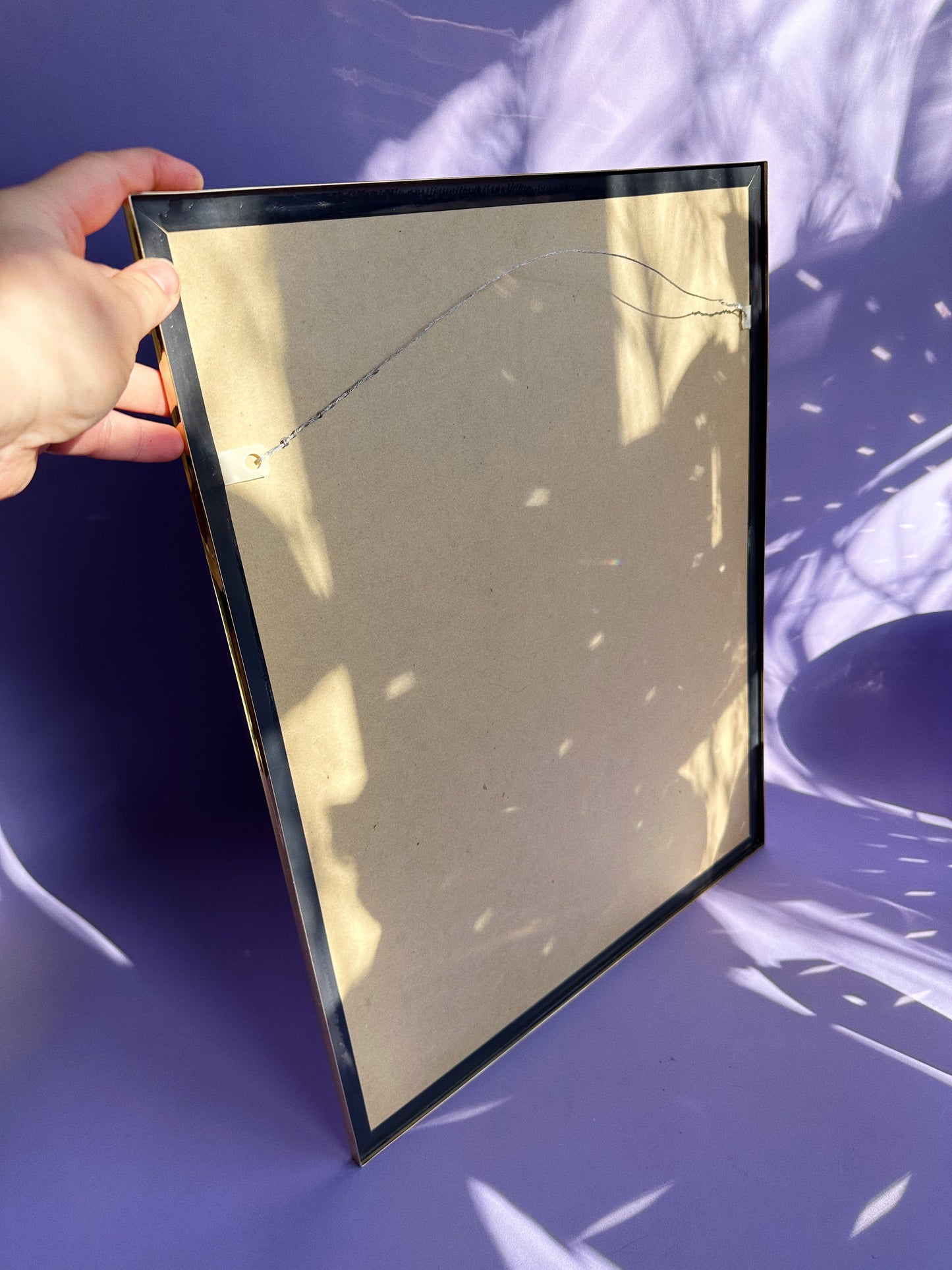 Brass Framed 1991 Impact Vintage 90s White Tiger Tigers Poster Ron Kimball