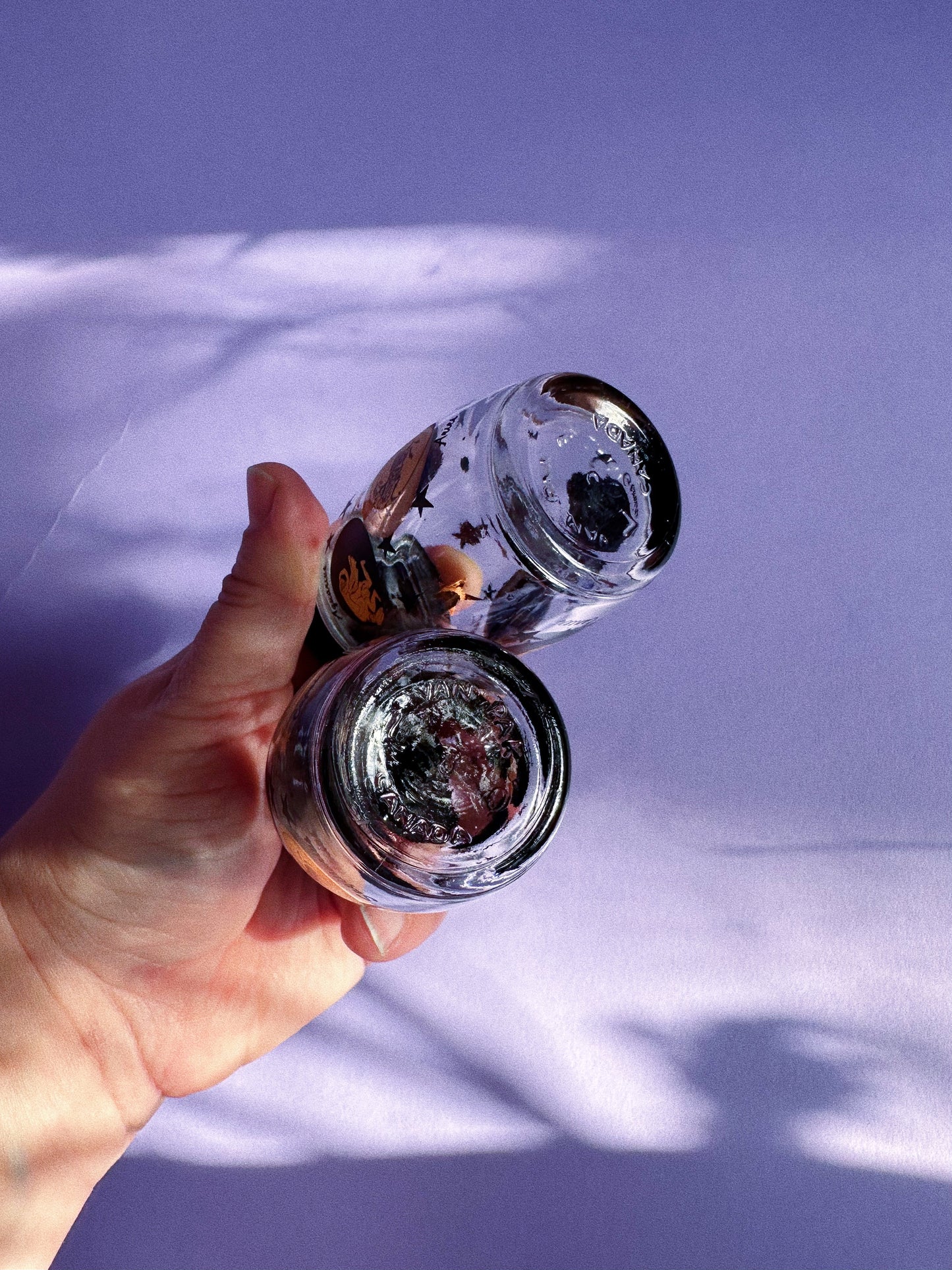 Vintage Van Pac Canada Zodiac Salt and Pepper Shakers