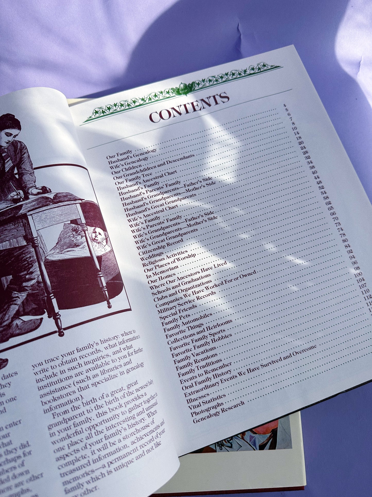 Vintage 1977 Hardcover Our Family Tree Book