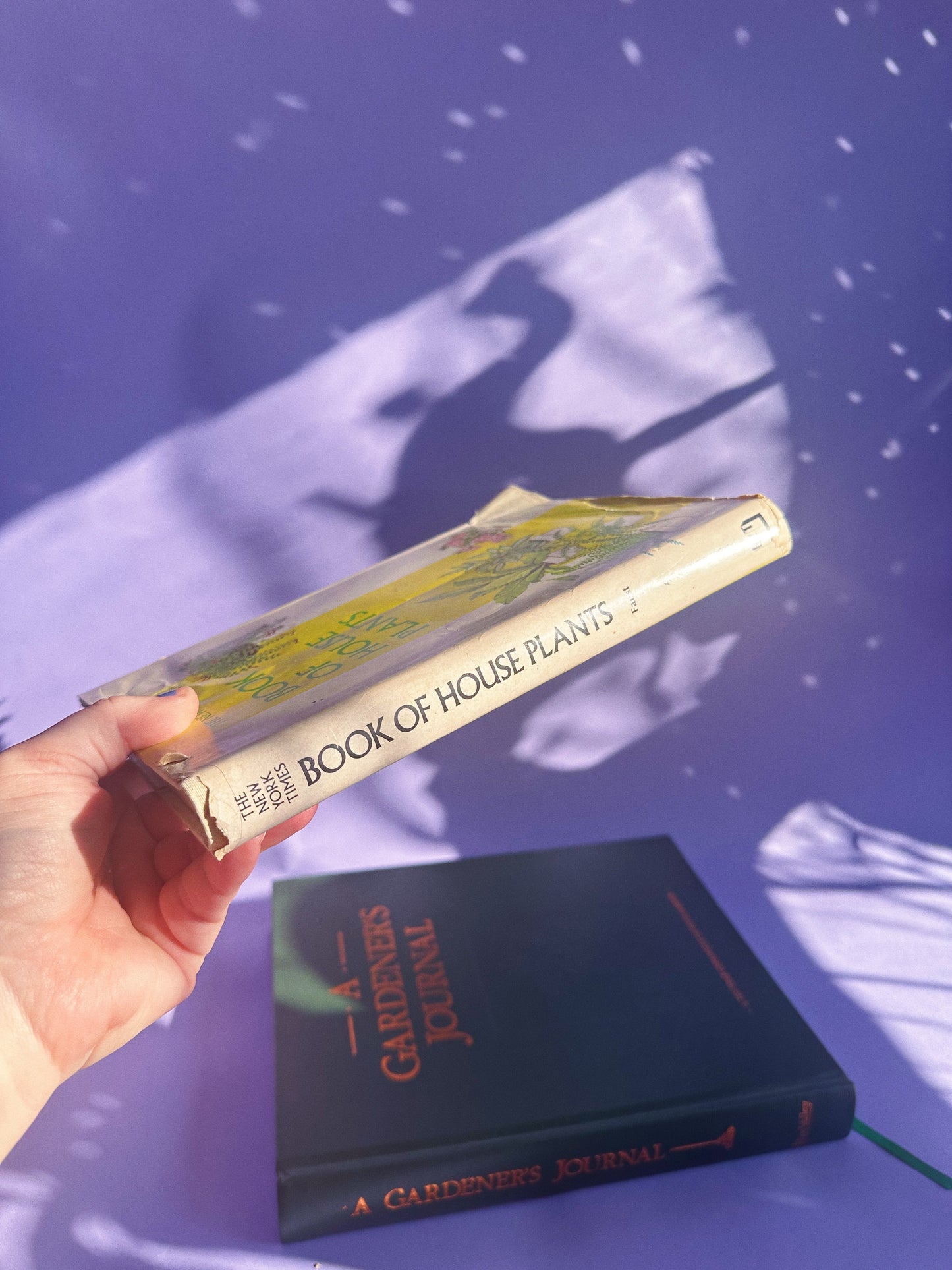 Vintage New York Times Book of House Plants