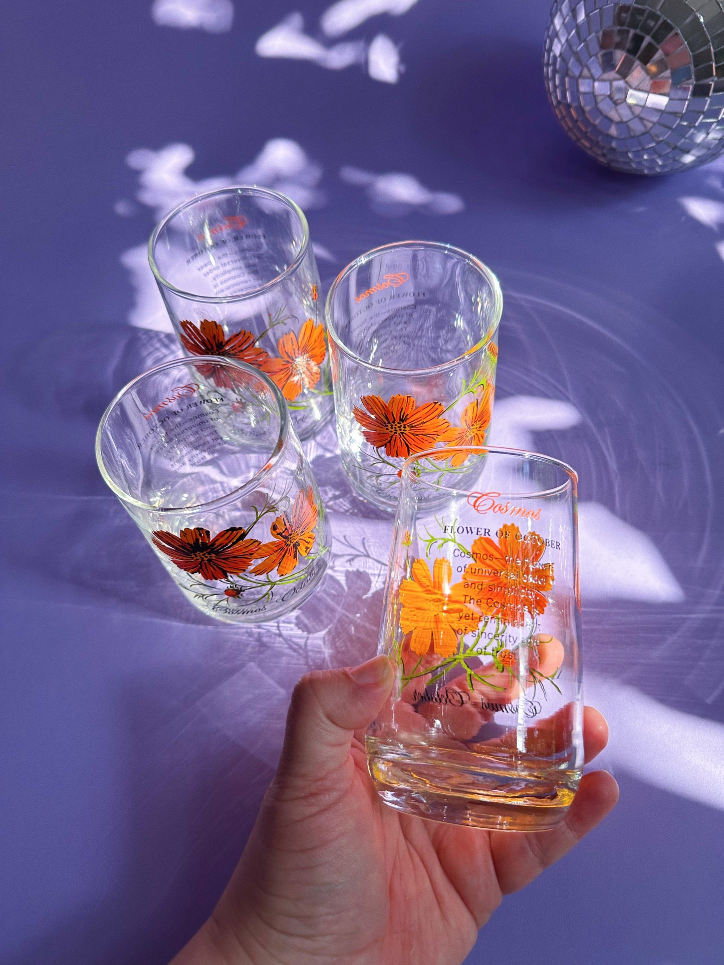 Vintage Floral Brockway Cosmos October Glass Tumblers