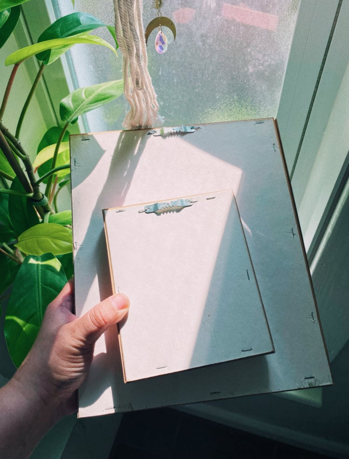 Vintage Dusty Rose Matte Framed Seashell Art