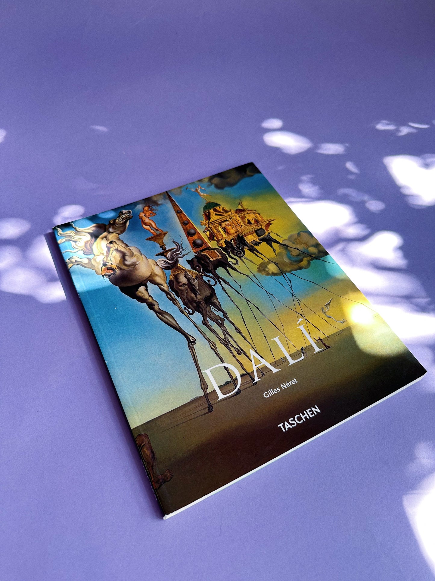 Salvador Dali Taschen Coffee Table Softcover Book