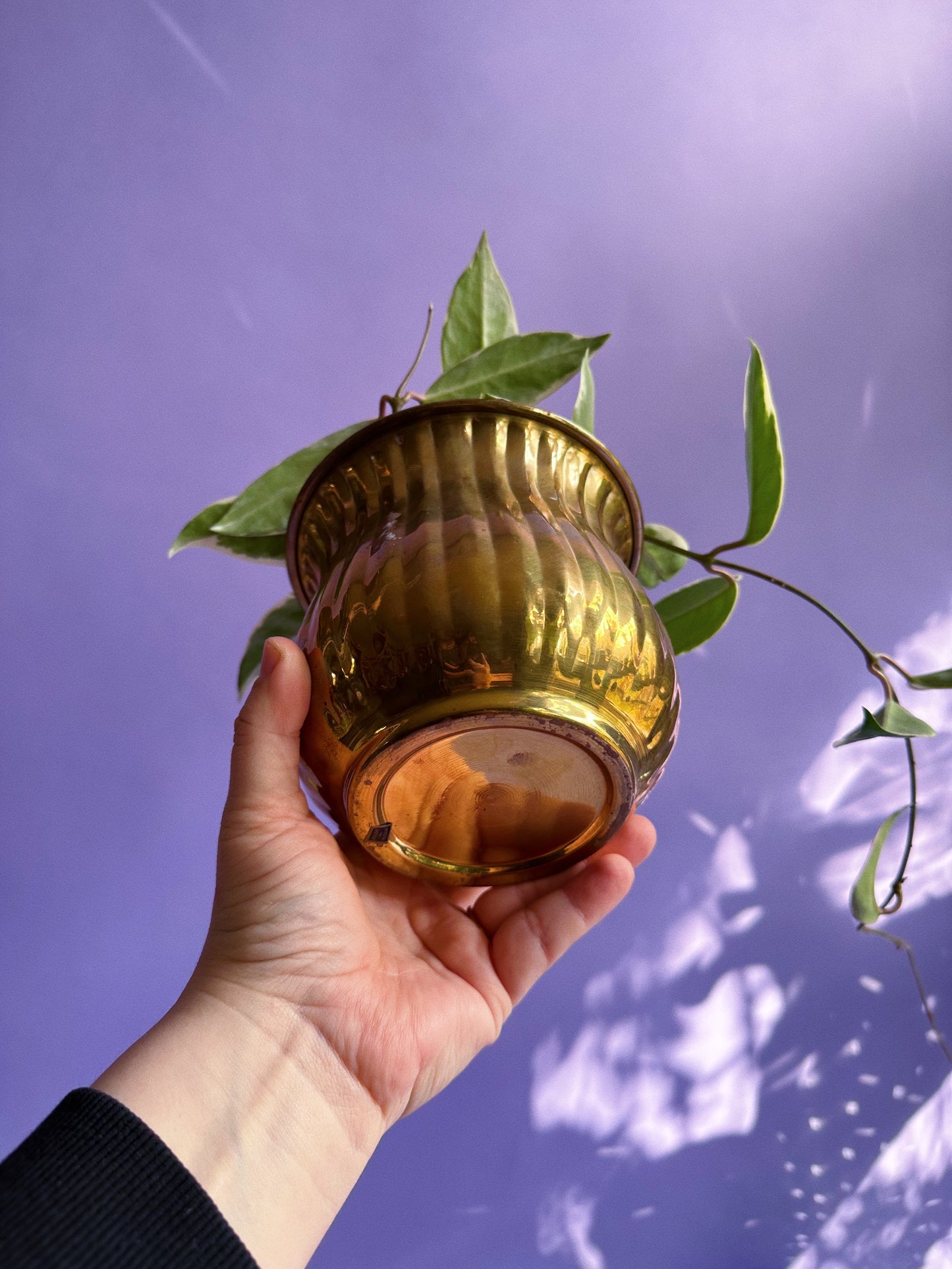 Vintage Brass Plant Cache Pot