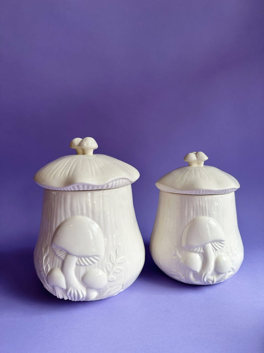 Vintage Pair of Mushroom Ceramic Arnels Kitchen Canisters