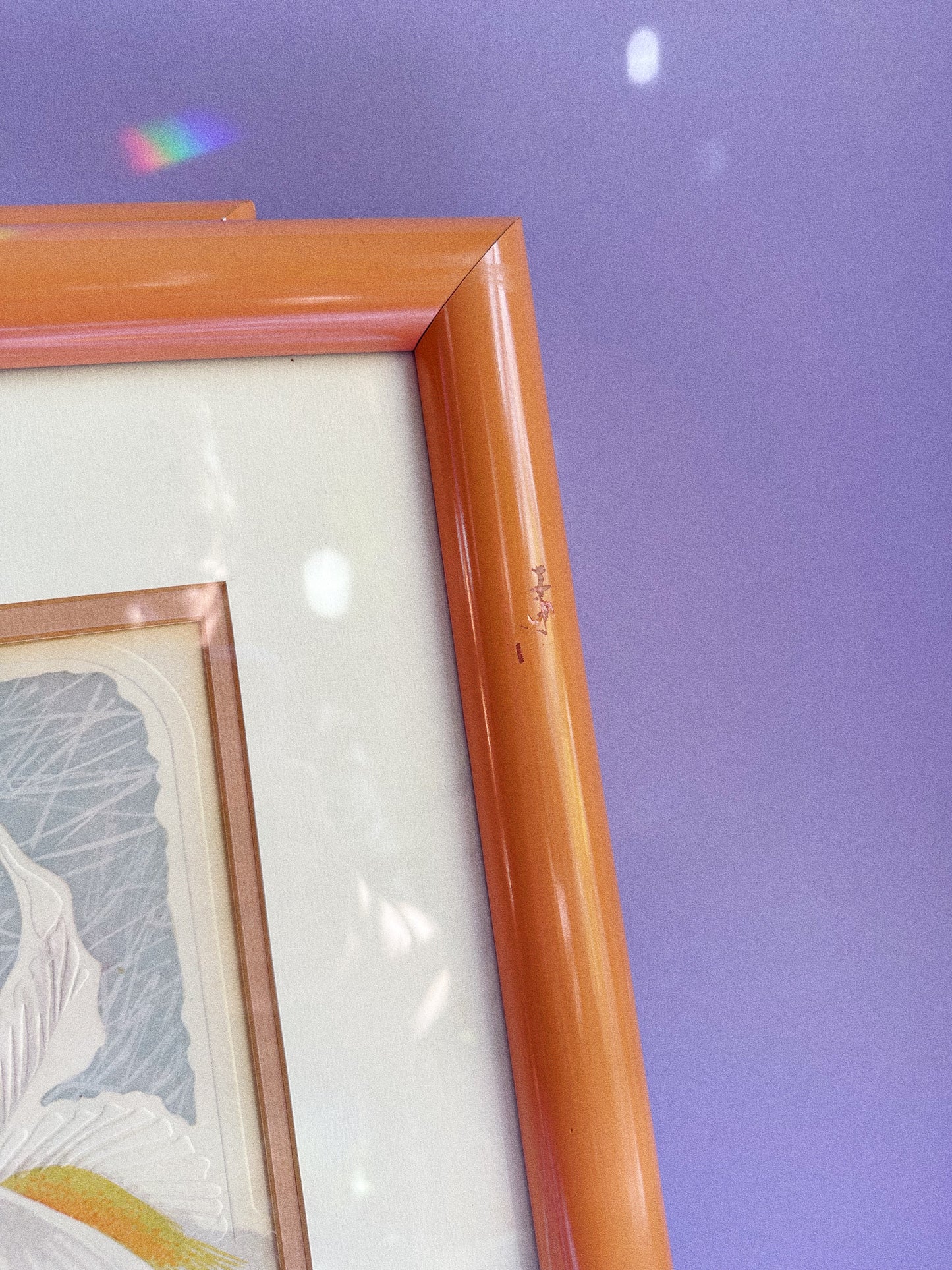 Vintage Post Modern Harry Wysocki Peach Framed Vintage Flower Prints