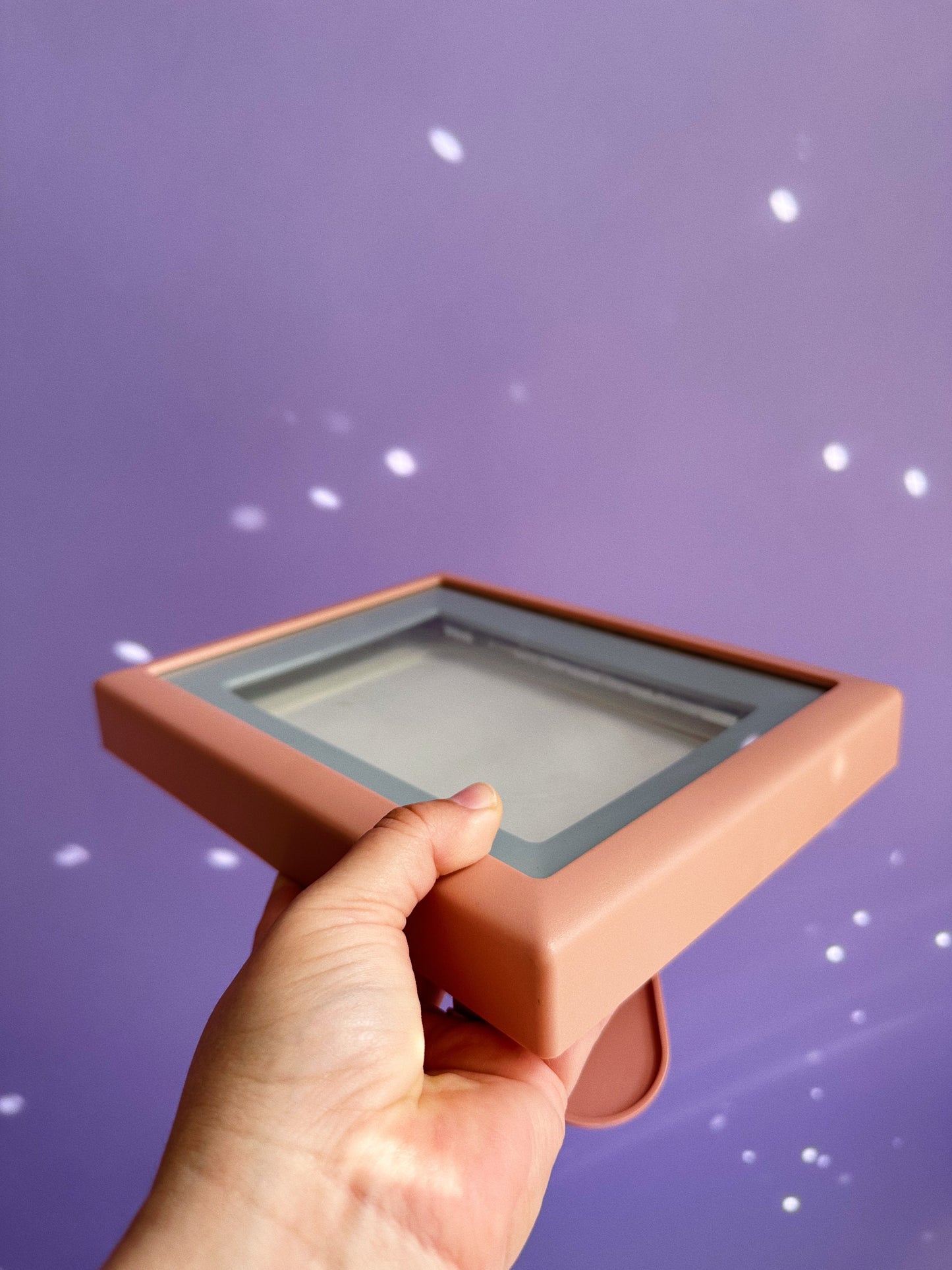 Vintage Post Modern Satin Rose Light Up Framelight