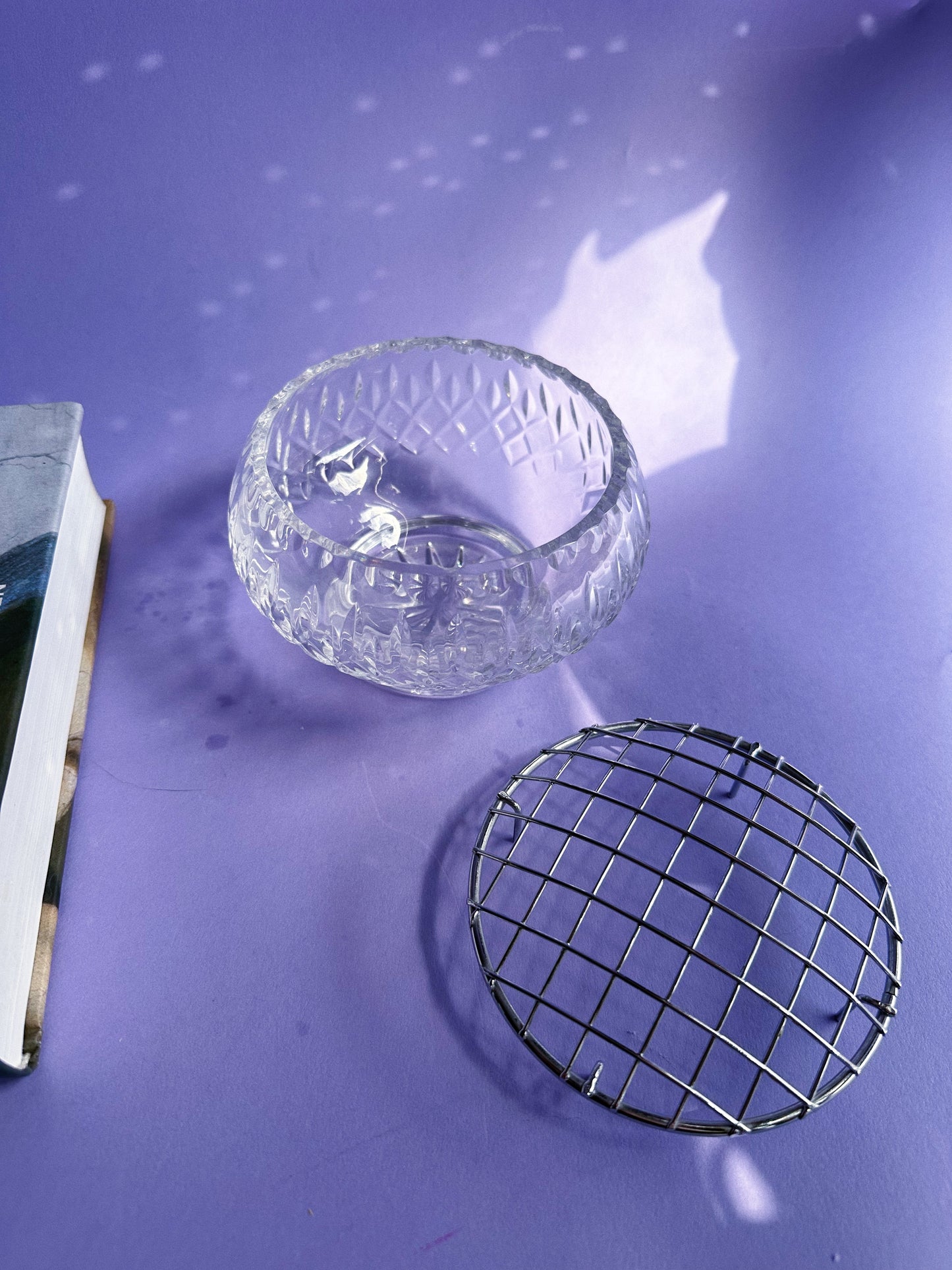 Clear Cut MCG Metropoliton Glass Flower Frog Bowl with Metal Grid