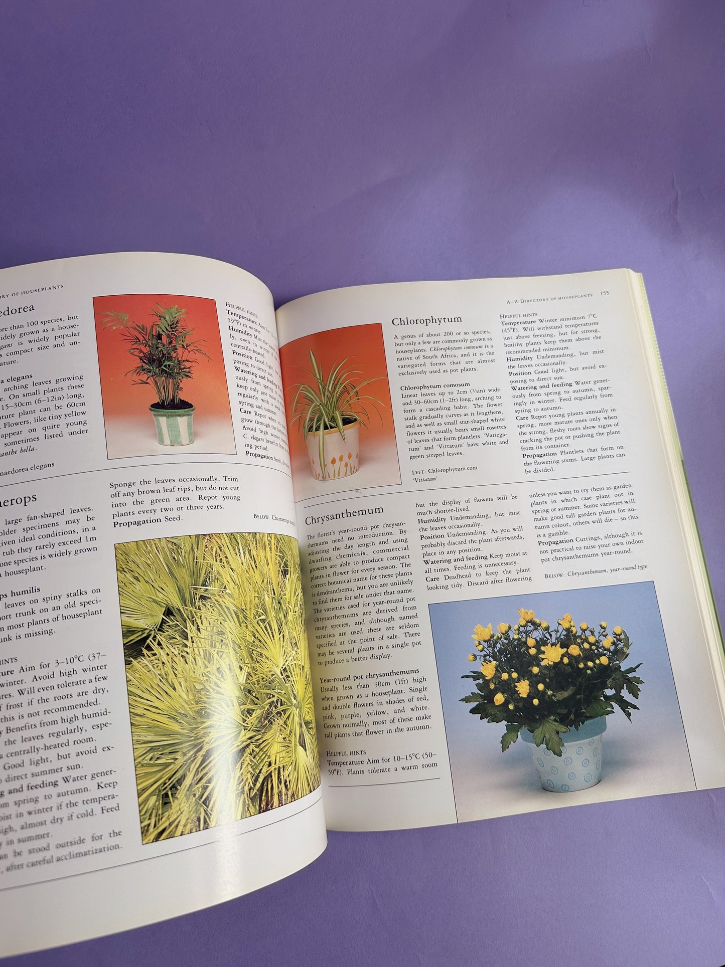 How to Have Happy Healthy Houseplants - Softcover Coffee Table Book