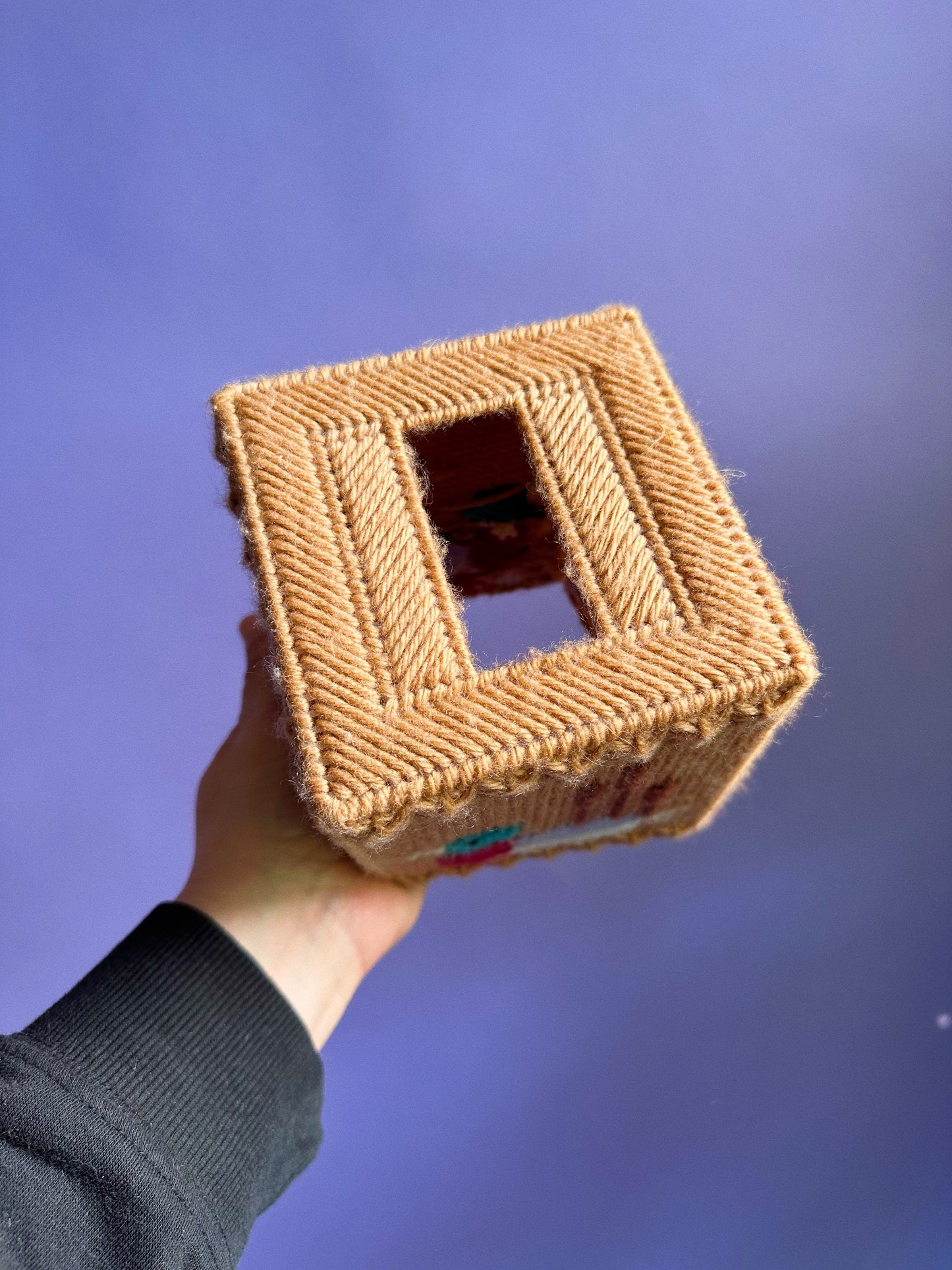 Vintage Cross Stitch Duck Tissue Box Cover