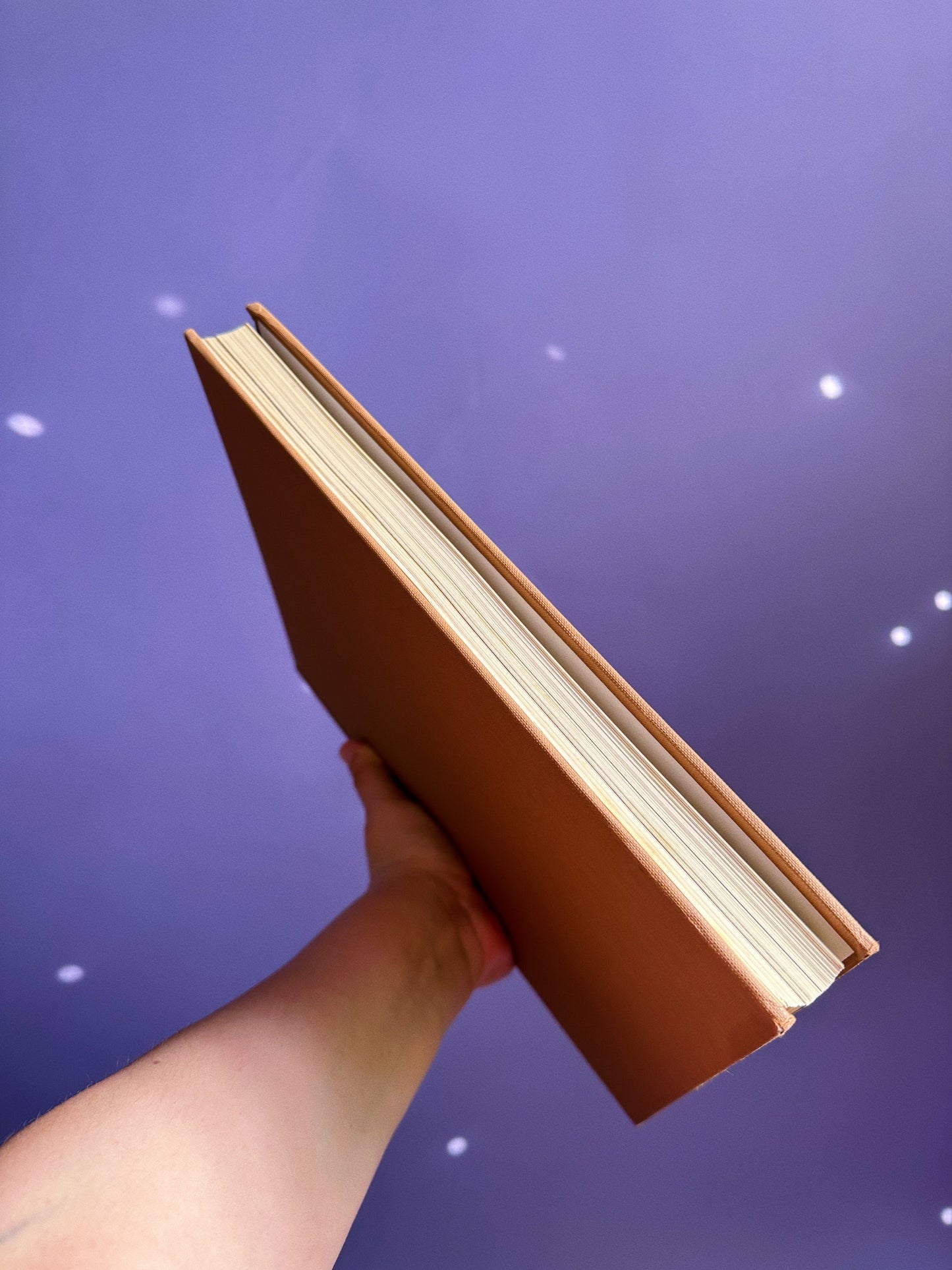 Vintage 1970s Michelangelo Hardcover Coffee Table Book