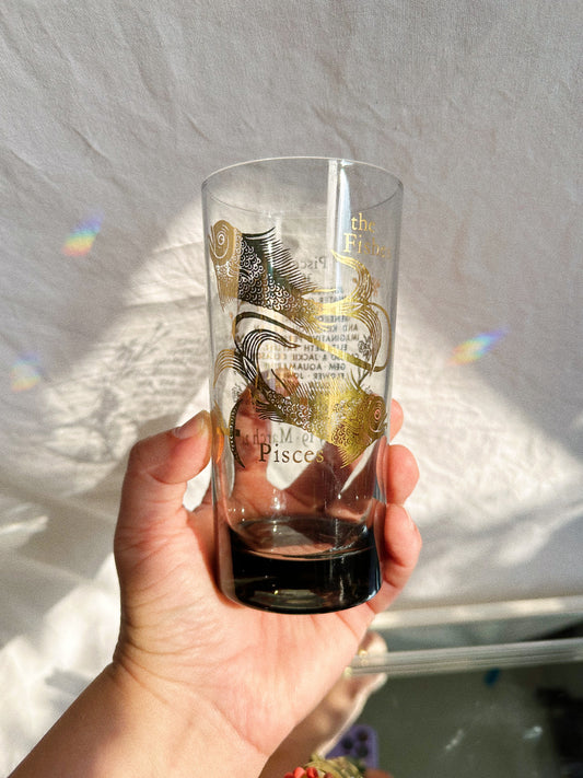 Vintage Horoscope PISCES Mid Century Modern Bar Cocktail Drinking Glass Highball