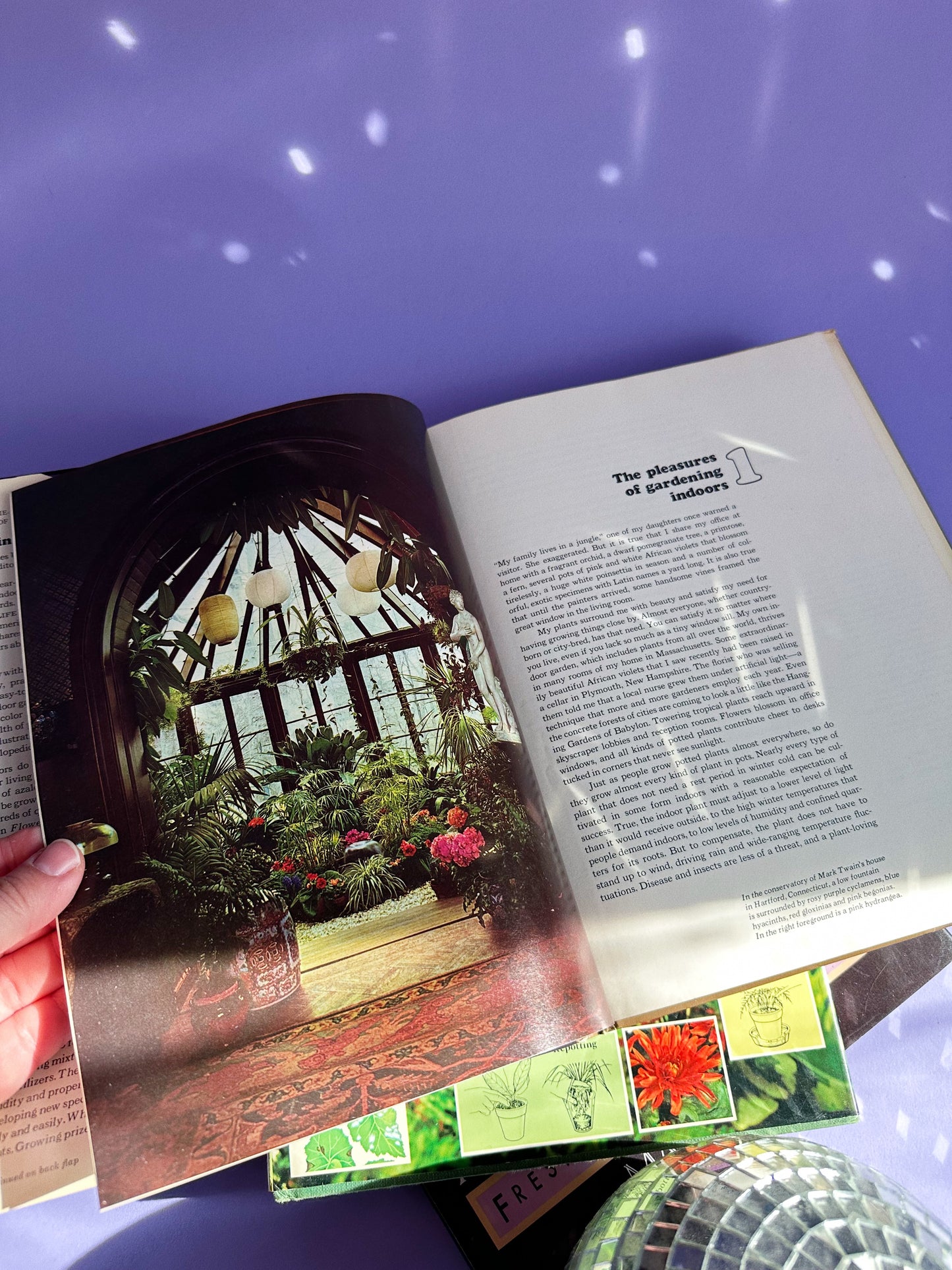 1971 Flowering House Plants Hardcover Book