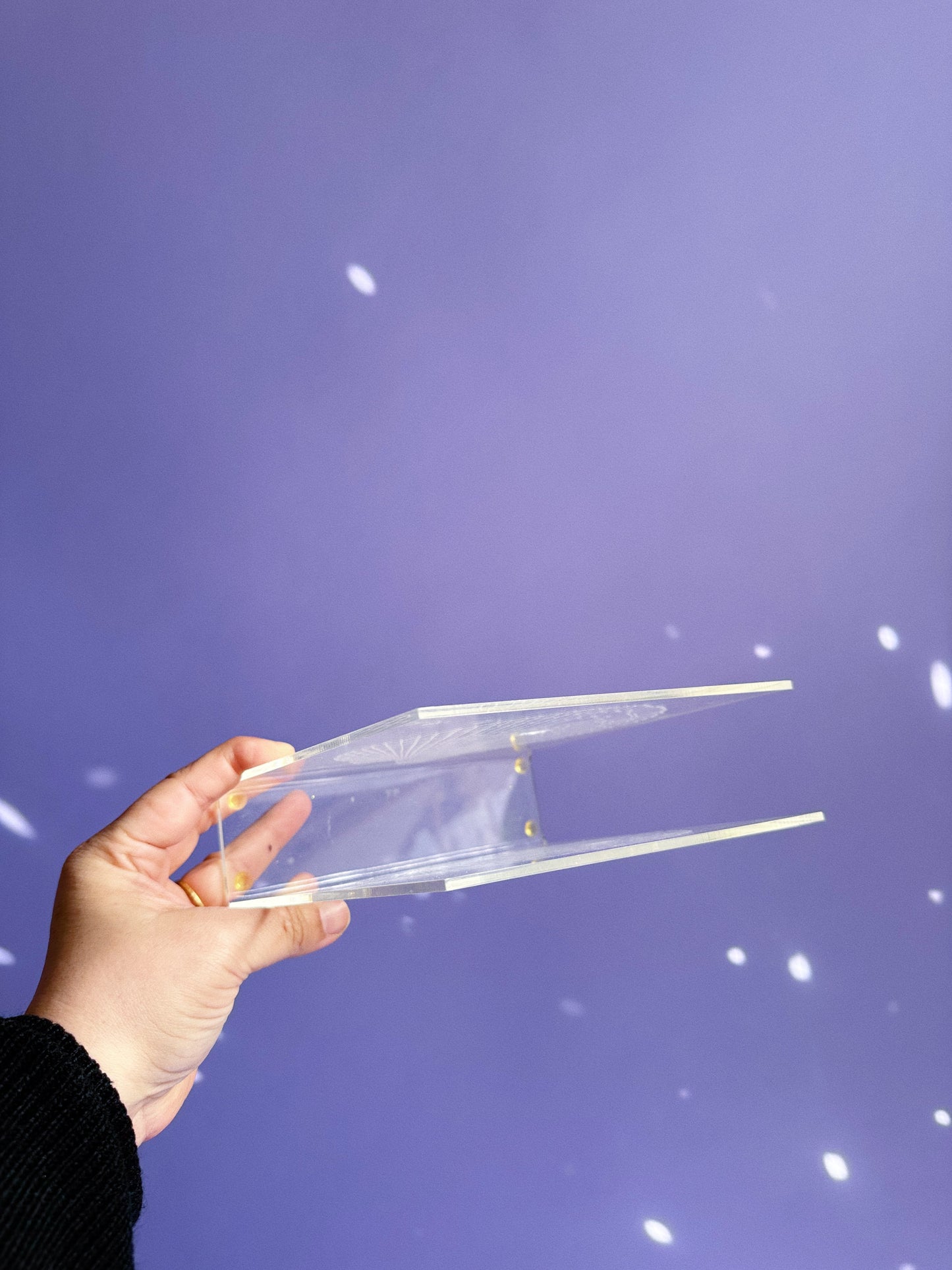 Acrylic Seashell Napkin / Letter Holder