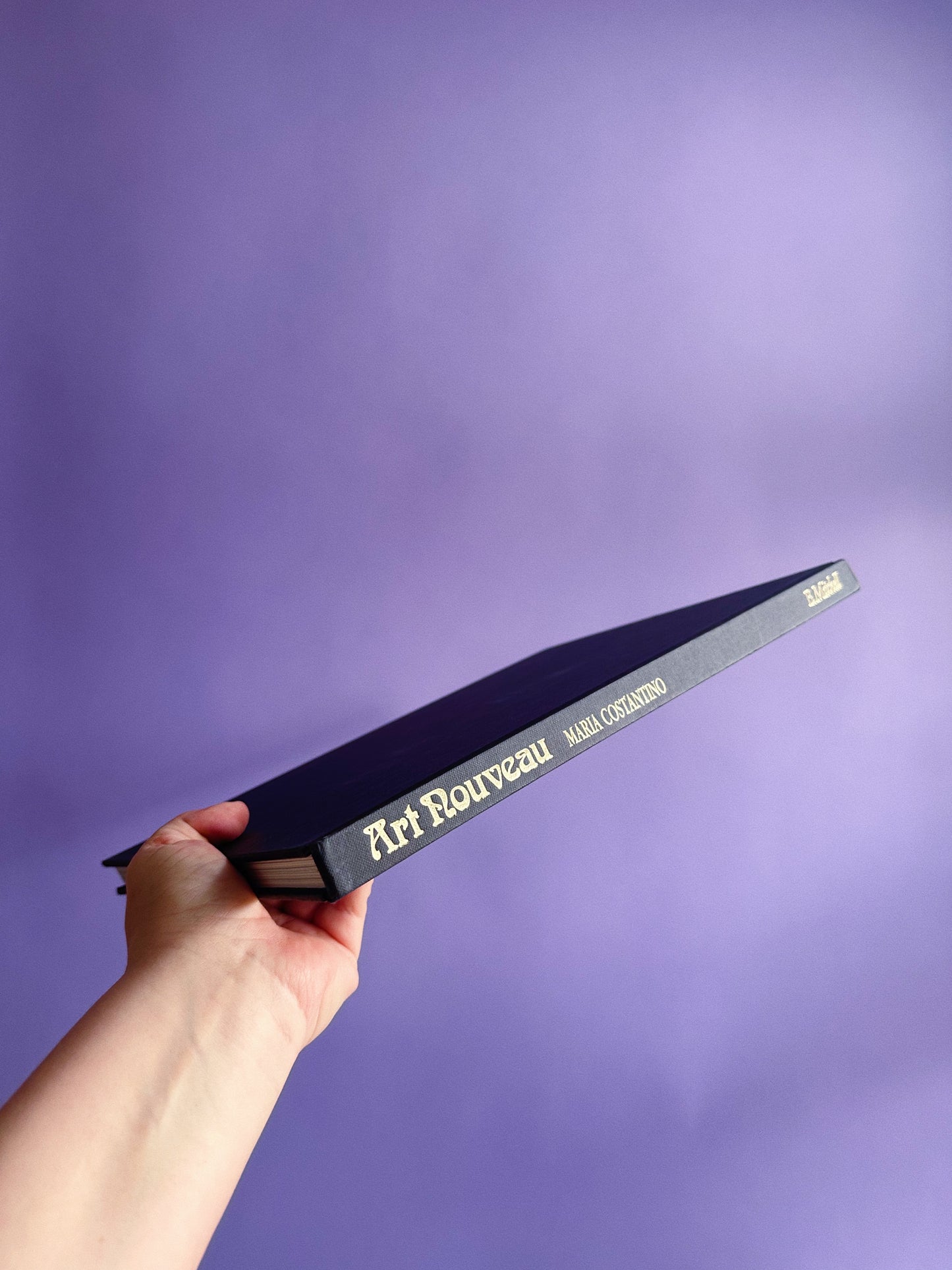 Vintage Large Art Nouveau Hardcover Coffee Table Book by Maria Costantino