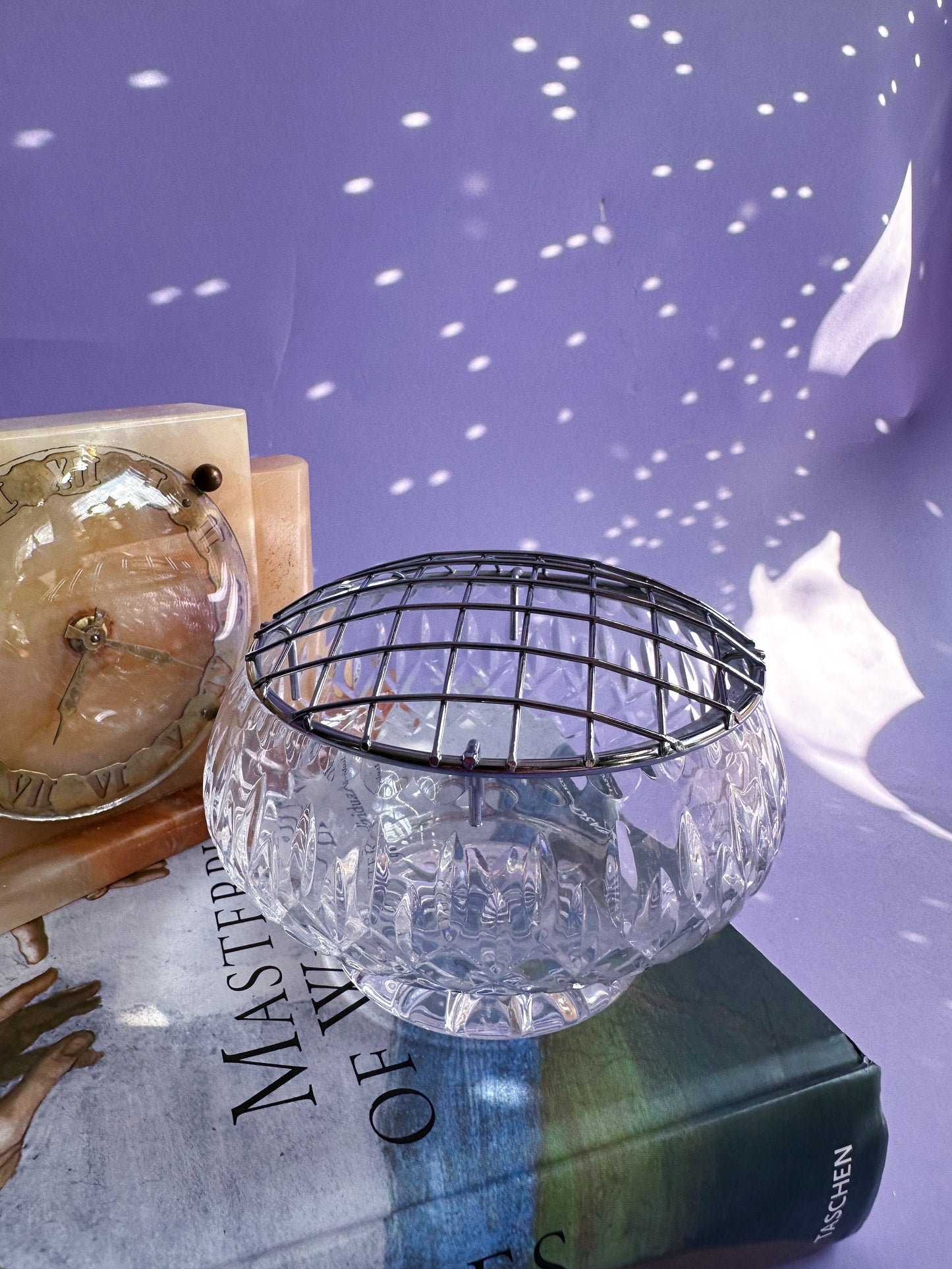 Clear Cut MCG Metropoliton Glass Flower Frog Bowl with Metal Grid