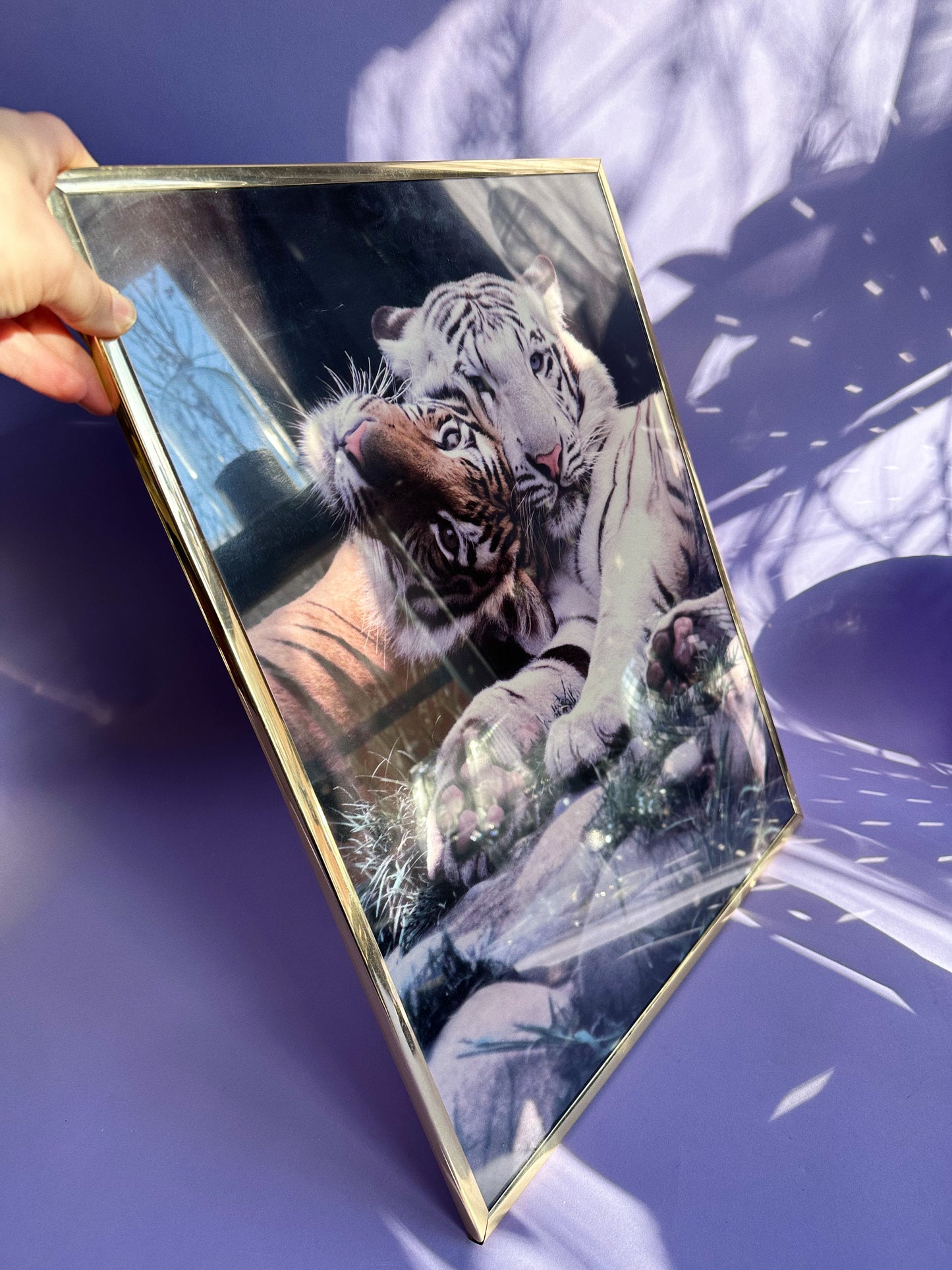 Brass Framed 1991 Impact Vintage 90s White Tiger Tigers Poster Ron Kimball