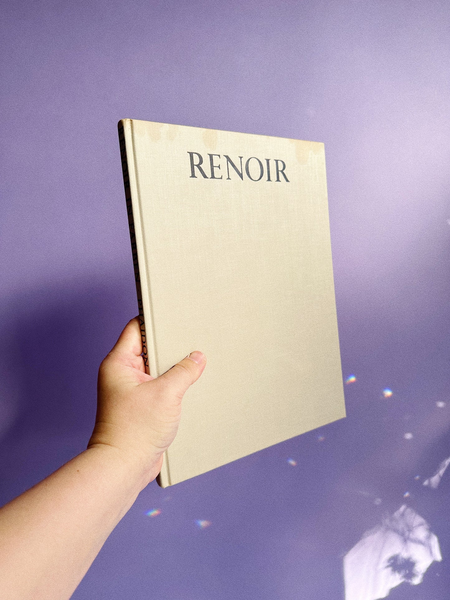 Vintage Renoir Phaidon Coffee Table Book