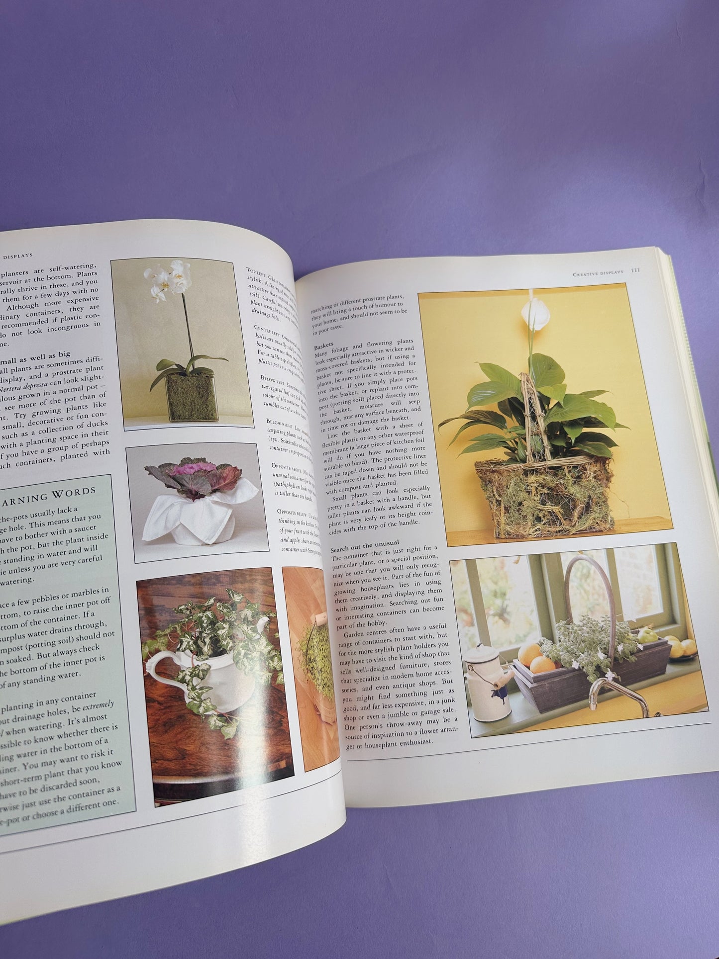 How to Have Happy Healthy Houseplants - Softcover Coffee Table Book