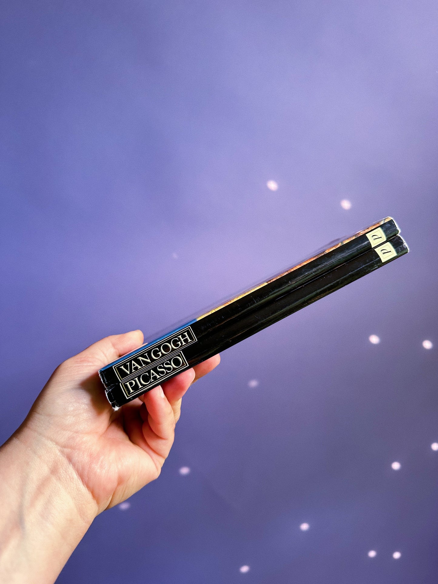 Vintage Life & Works Of Picasso & Van Gogh Square Collectable Hardcover Books