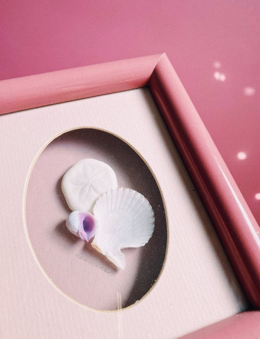 Vintage Dusty Rose Matte Framed Seashell Art
