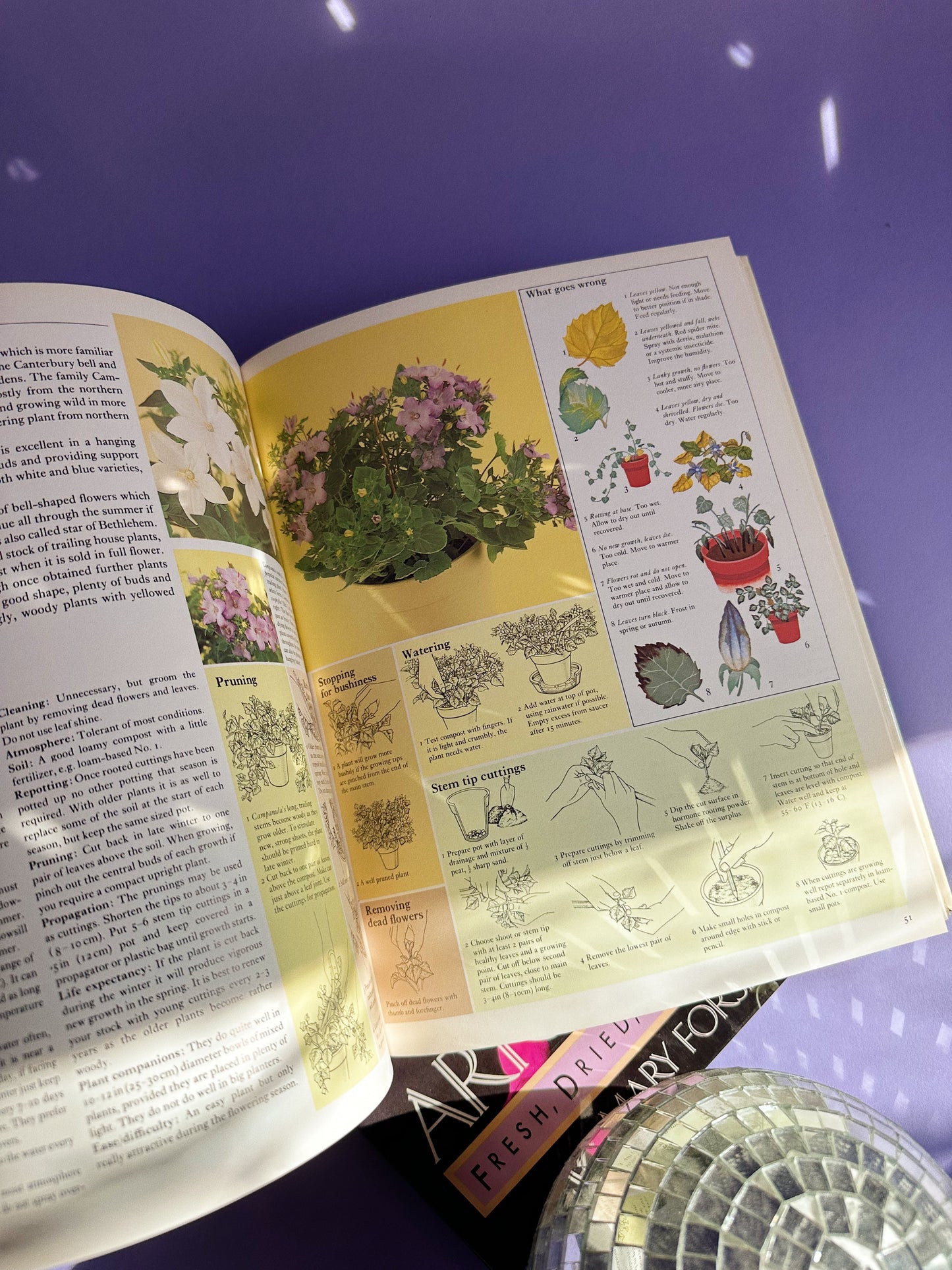 1986 The Care of House Plants Hardcover Book