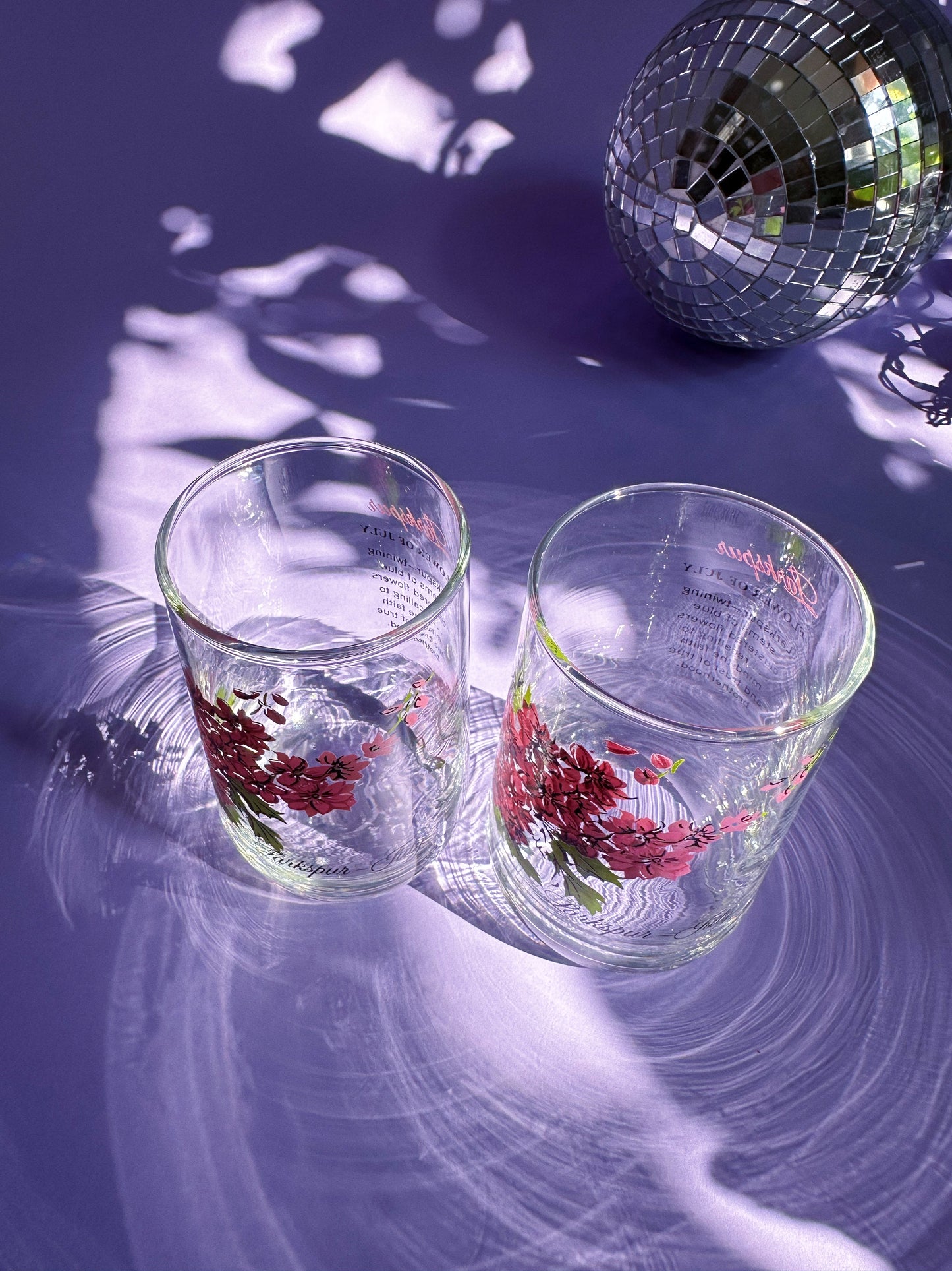 Vintage Floral Brockway Larkspur July Glass Tumblers