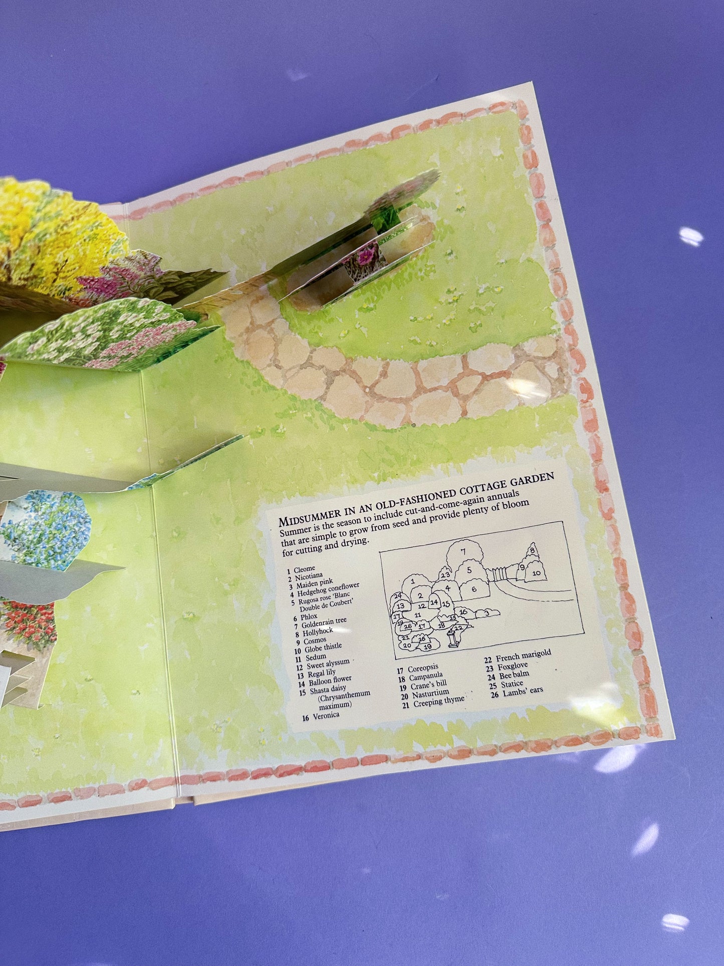 Vintage Old Fashioned Garden Pop Up Hardcover Book