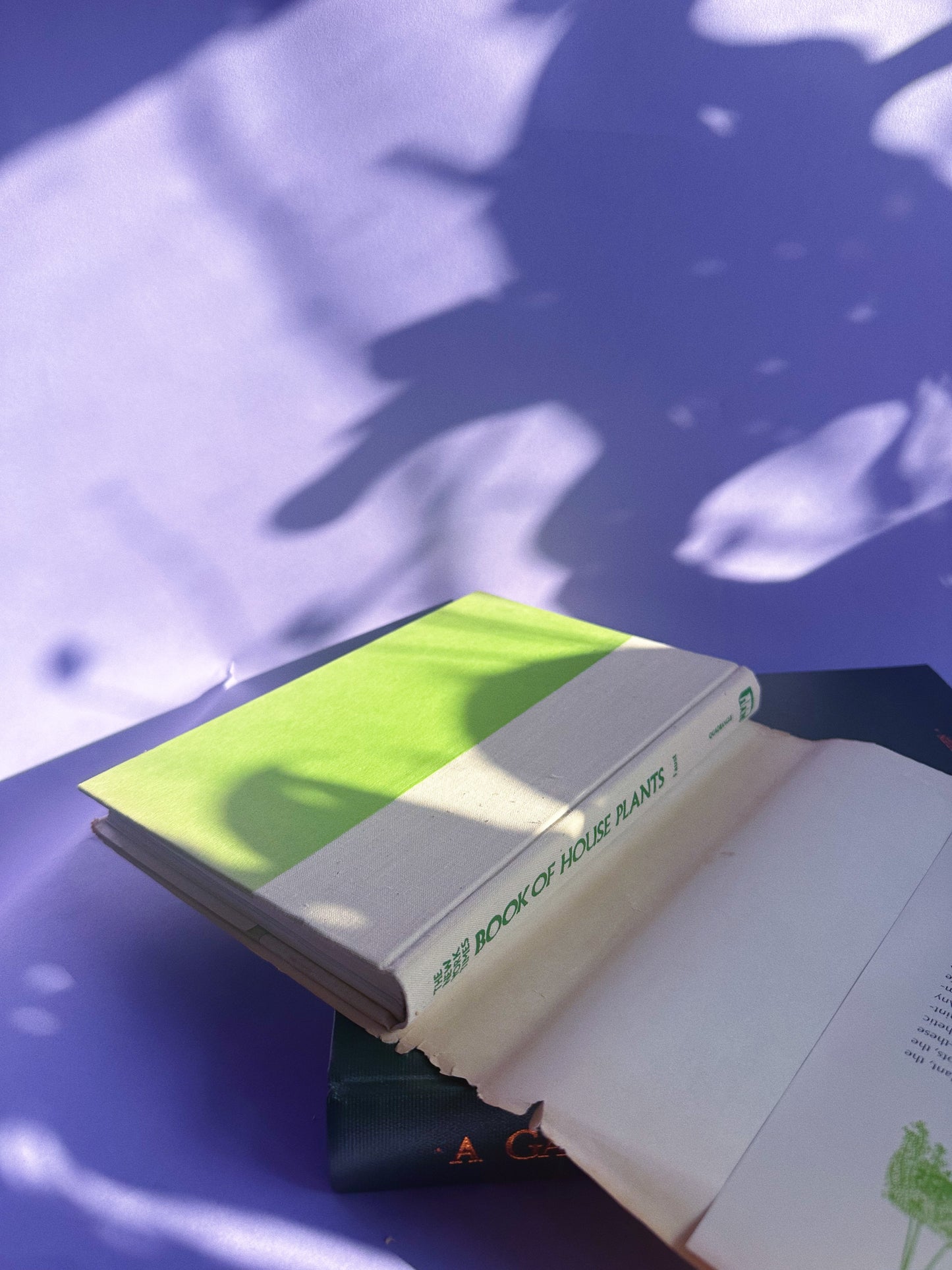 Vintage New York Times Book of House Plants