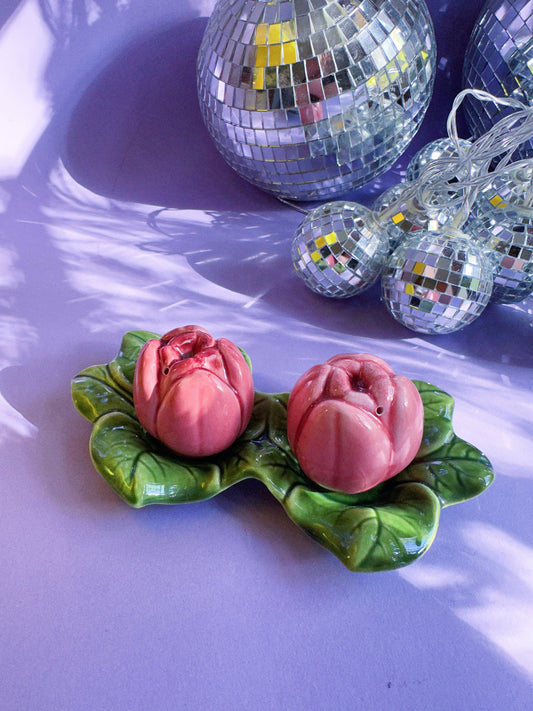 Vintage Ceramic Pink Roses Salt & Pepper Shakers