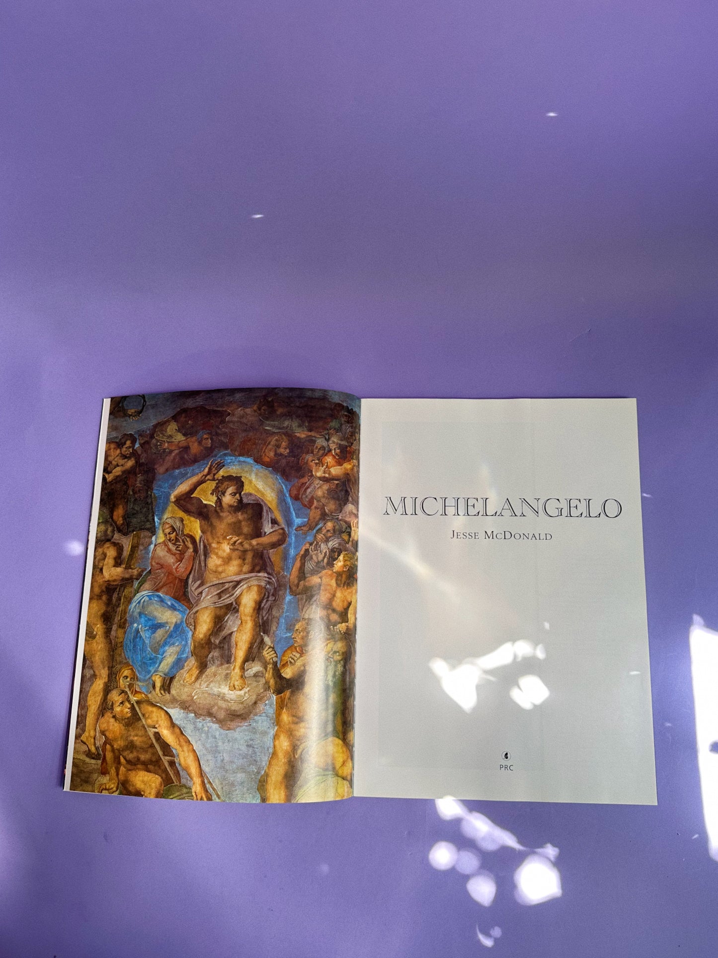 Softcover Michelangelo Art Coffee Table Book by Jesse McDonald