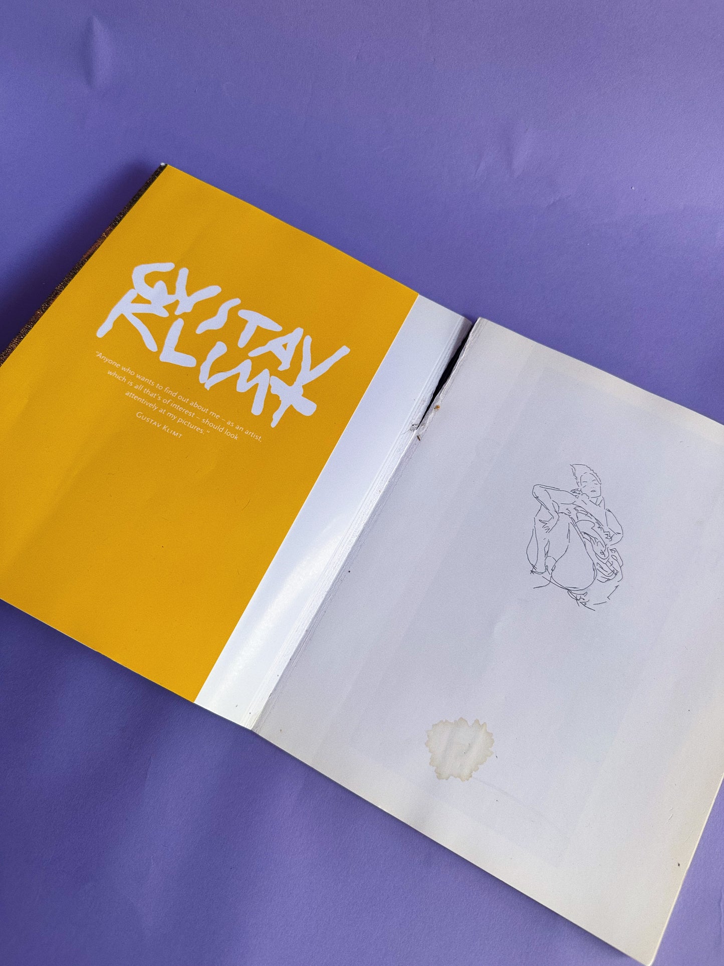 Gustav Klimt Softcover Taschen Coffee Table Book