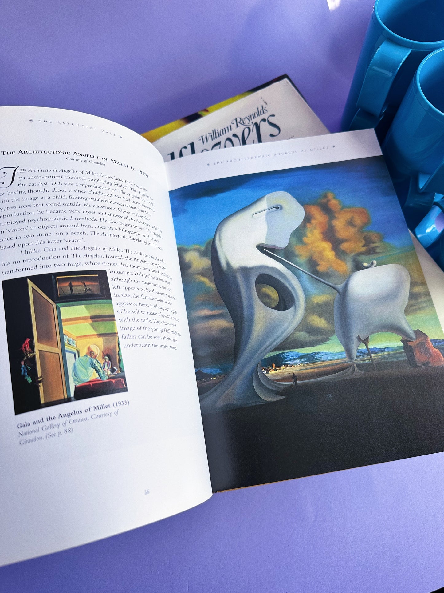 Essential Dali Kirsten Bradbury Dempsey Park HC w/DJ Color Illustrations 1999