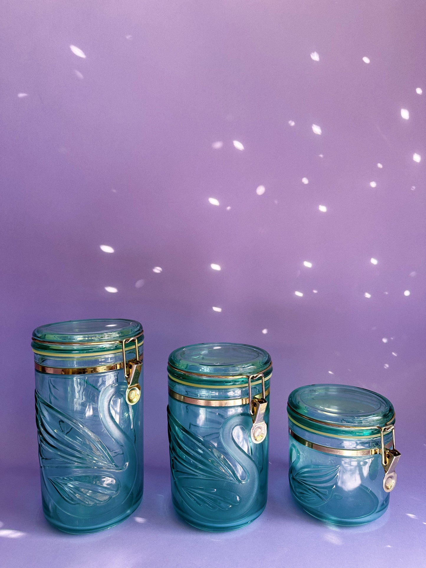 Vintage Acrylic Teal Swan Canisters