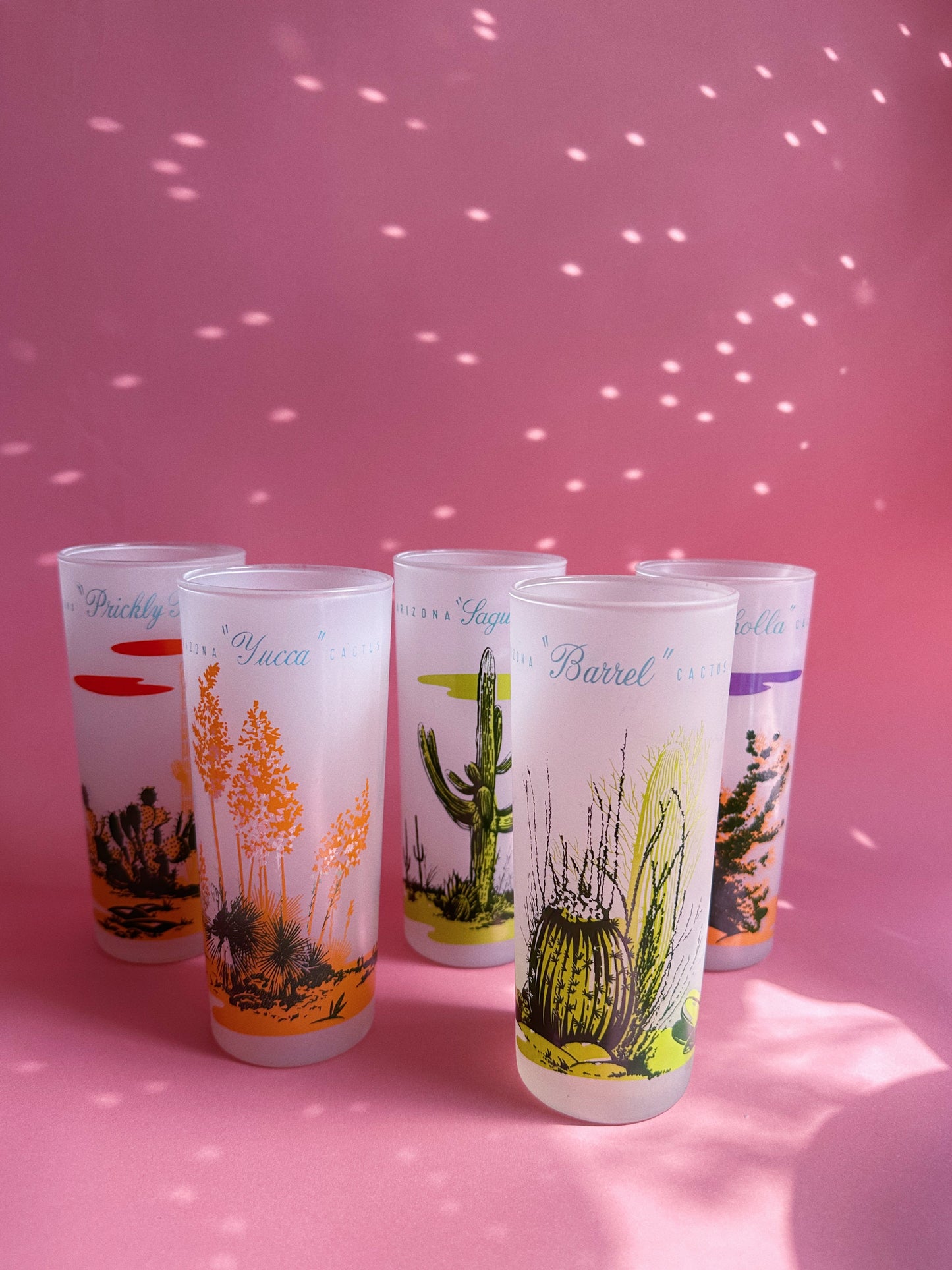 Vintage MCM Blakely Oil & Gas Arizona Frosted 5 Tumbler Glasses & Pitcher Cacti