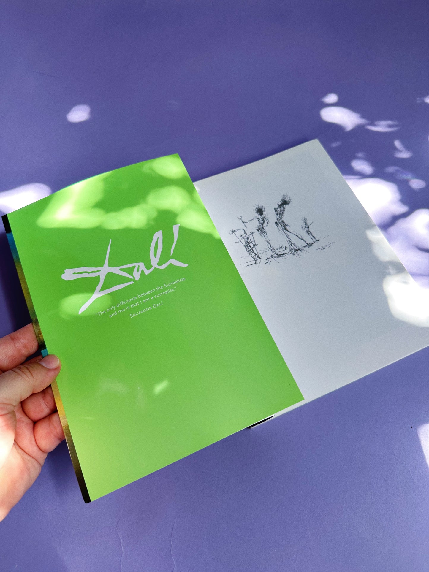 Salvador Dali Taschen Coffee Table Softcover Book