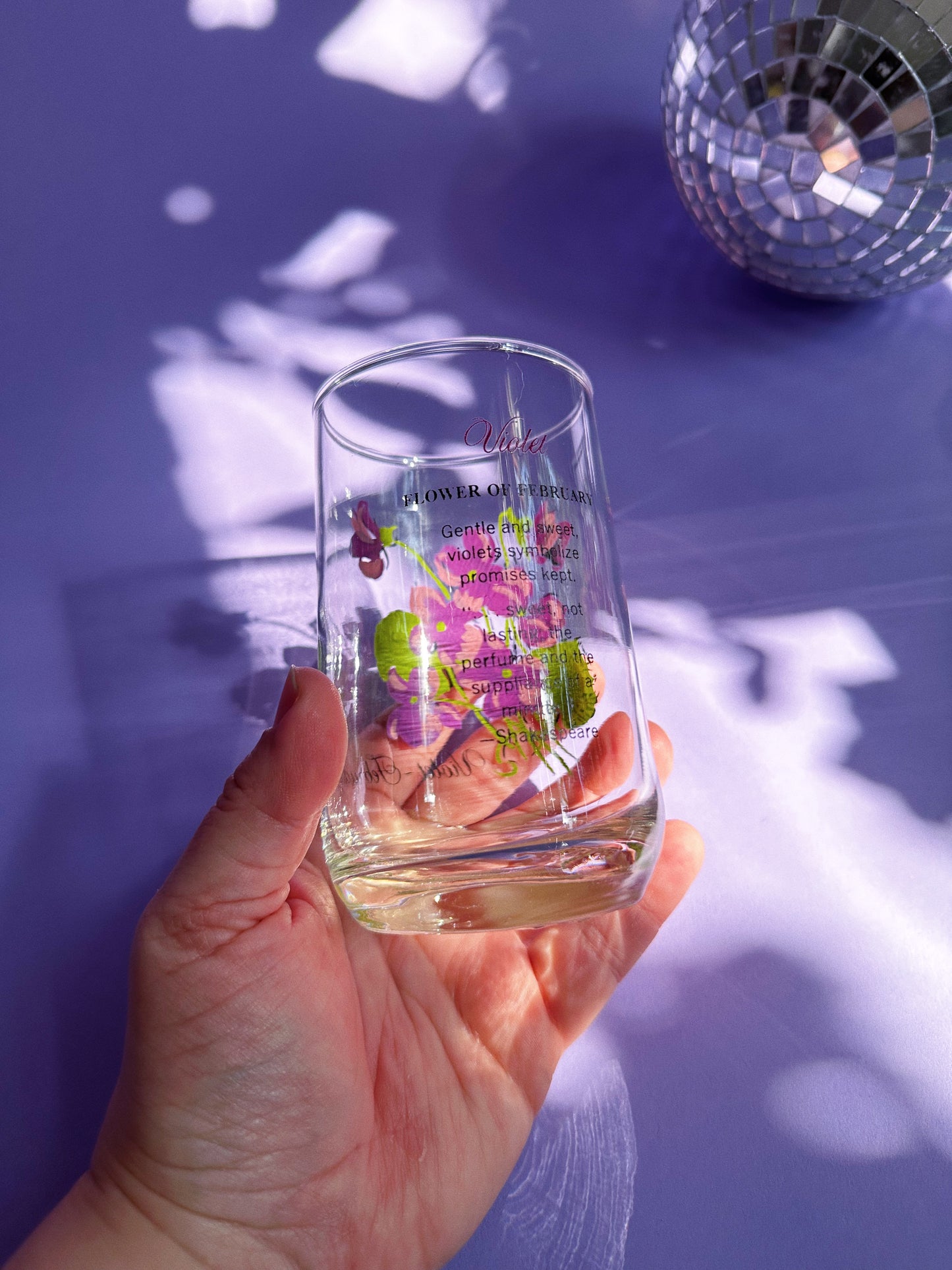 Vintage Floral Brockway Violet February Medium Glass Tumblers